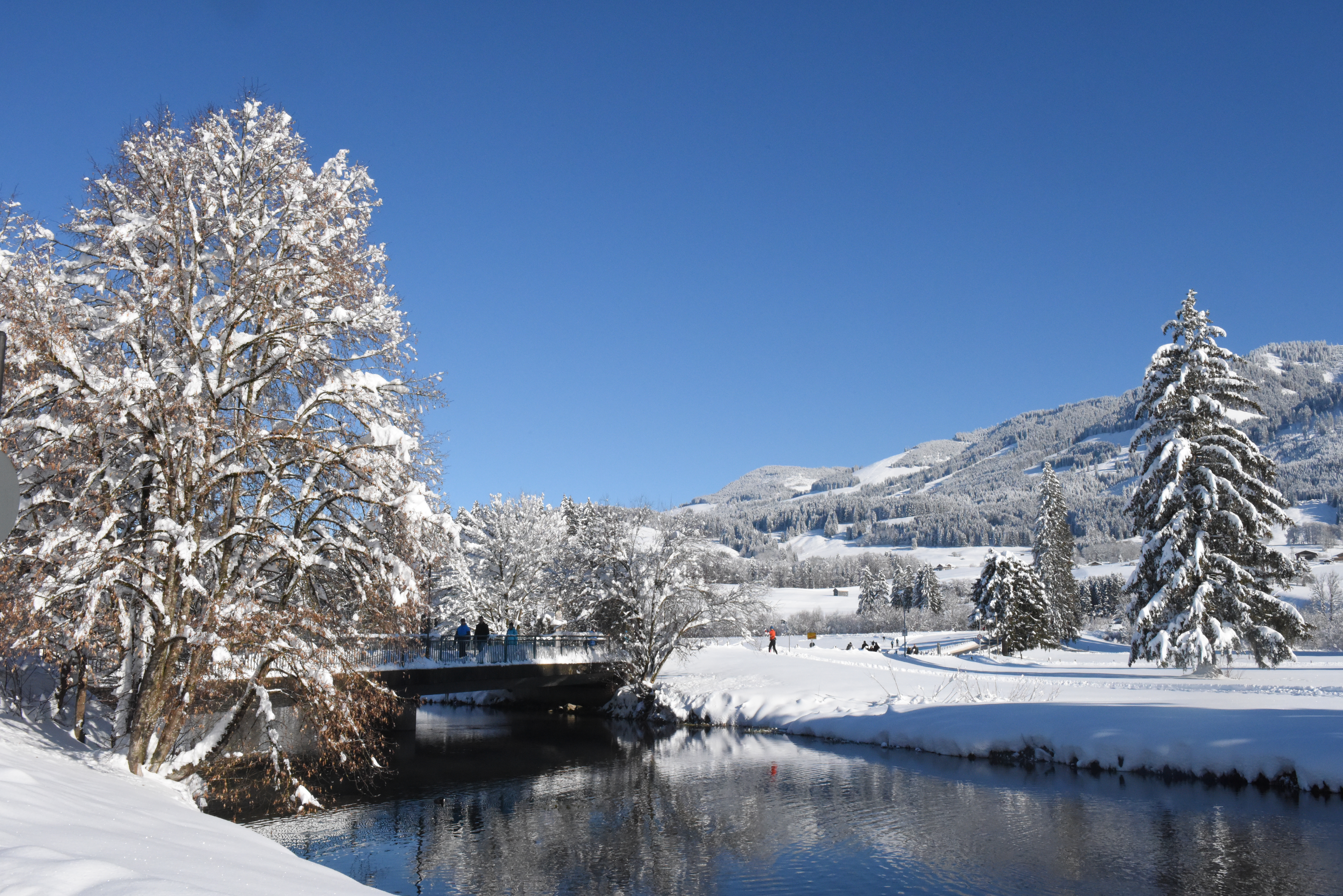 Unterkunft im Allgäu: Allgäuer Bergnest - Ferienwohnung in Fischen im Allgäu - Allgäuer Bergnest - Ihre Ferienwohnung in Fischen im Allgäu