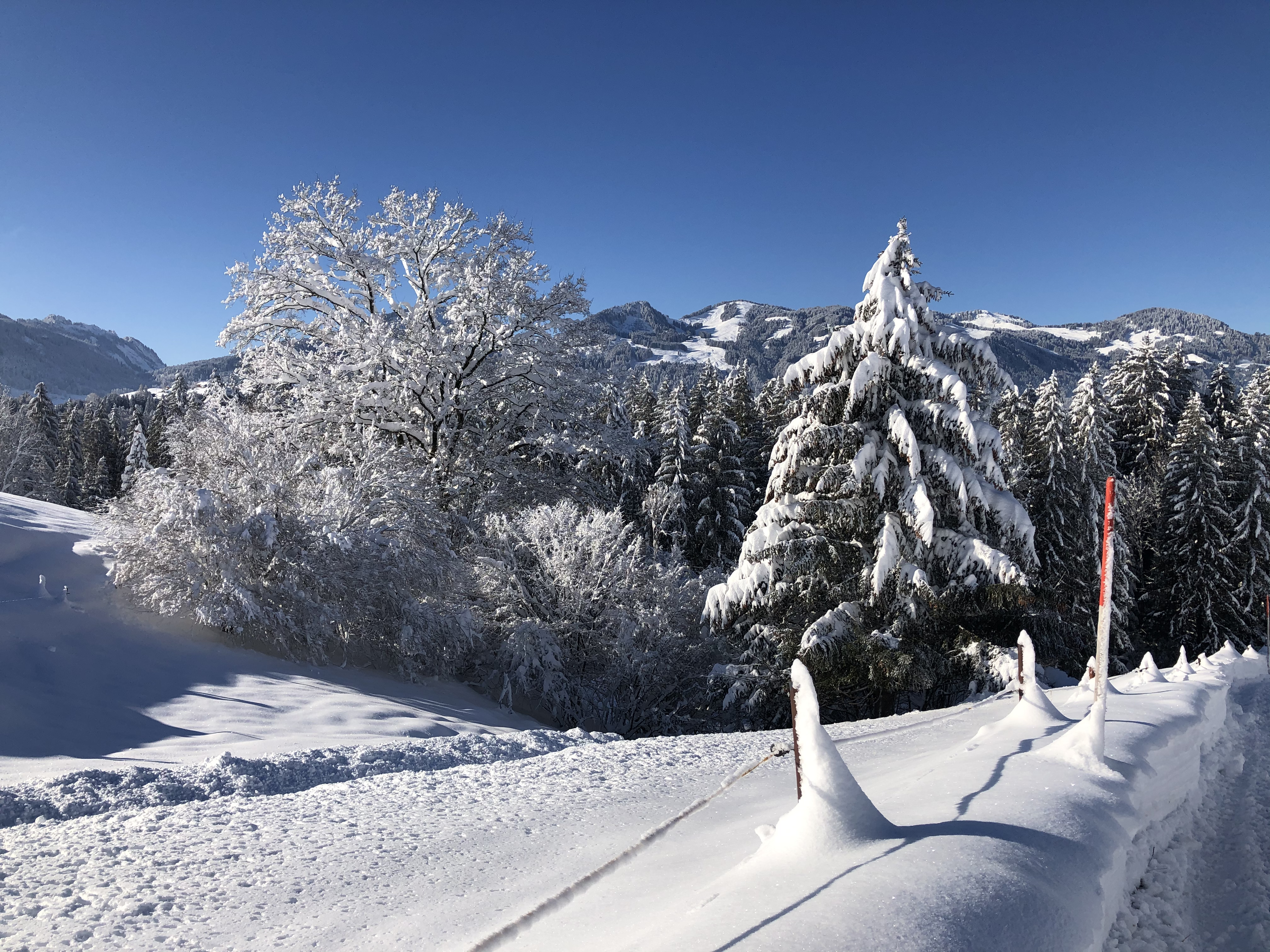 Unterkunft im Allgäu: Allgäuer Bergnest - Ferienwohnung in Fischen im Allgäu - Allgäuer Bergnest - Ihre Ferienwohnung in Fischen im Allgäu