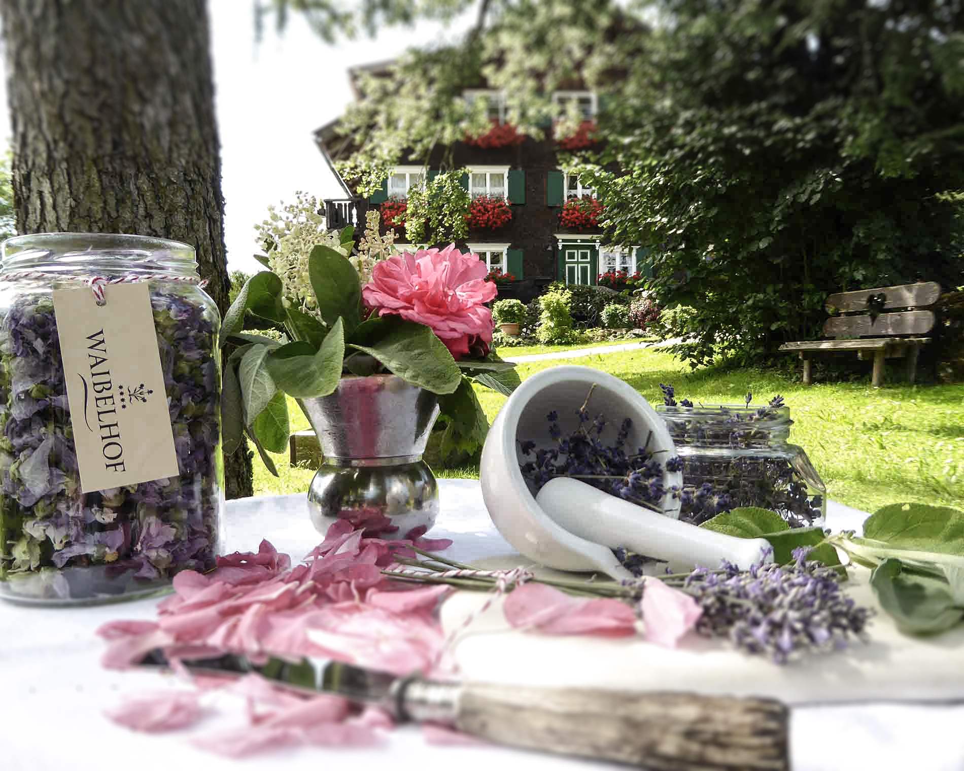 Unterkunft im Allgäu: Landhaus Waibelhof - Gunzesried im Allgäu - Landhaus Waibelhof - Gunzesried im Allgäu