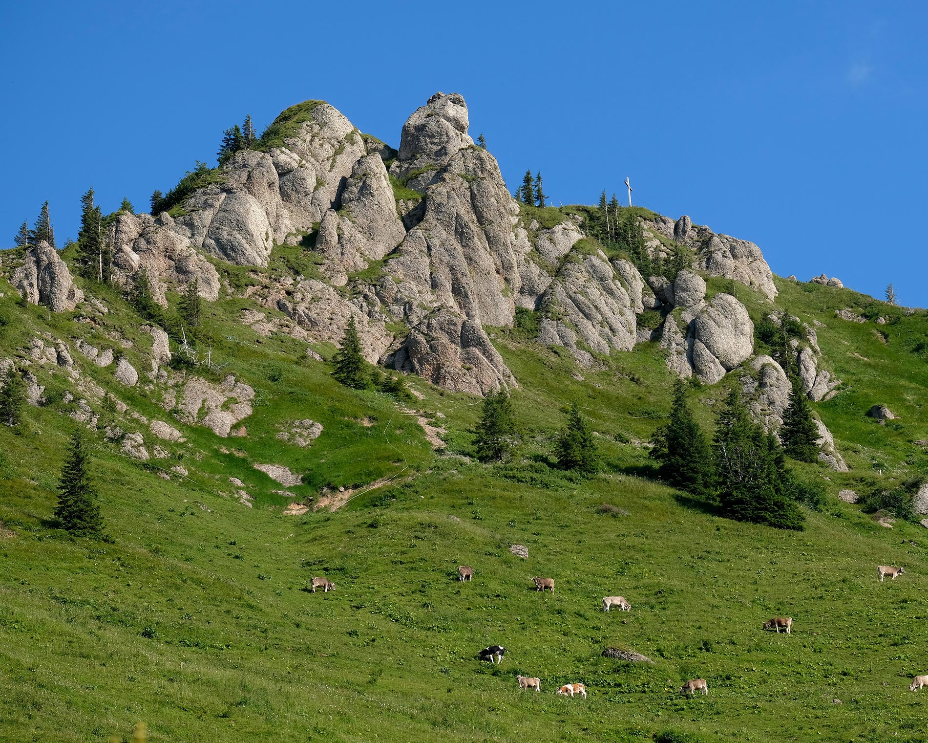 Unterkunft im Allgäu: Landhaus Waibelhof - Gunzesried im Allgäu - Landhaus Waibelhof - Gunzesried im Allgäu