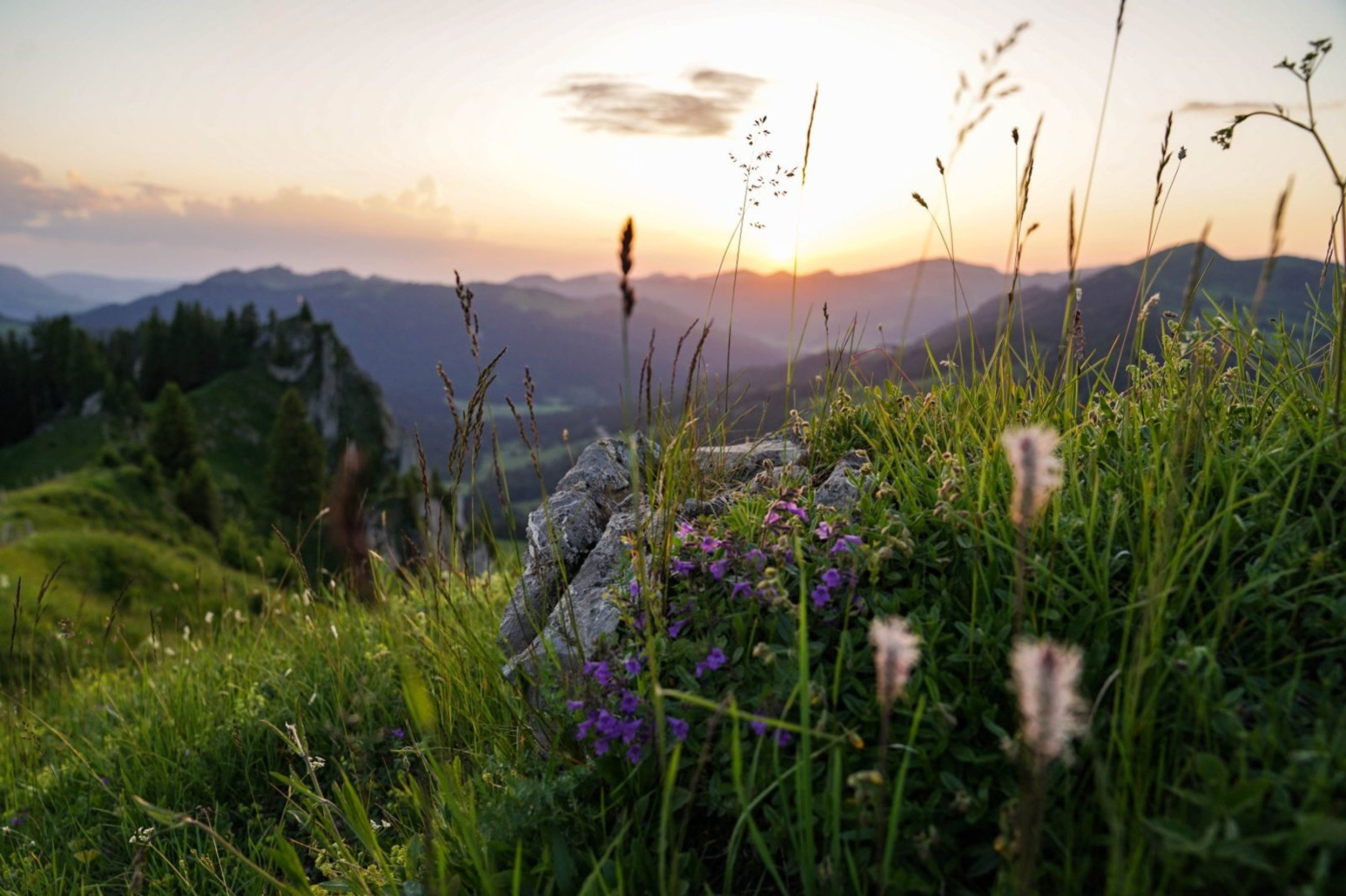 Unterkunft im Allgäu: Ferienwohnungen Haus Oberdorf 1 in Obermaiselstein im Allgäu - Ferienwohnungen Haus Oberdorf 1 in Obermaiselstein