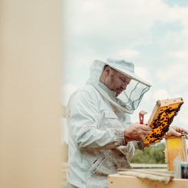 Erlebnisse im Oberallgäu: Der Bienenkorb - Schauimkerei mit Bienenerlebnispfad - Der Bienenkorb - Schauimkerei mit Bienenerlebnispfad
