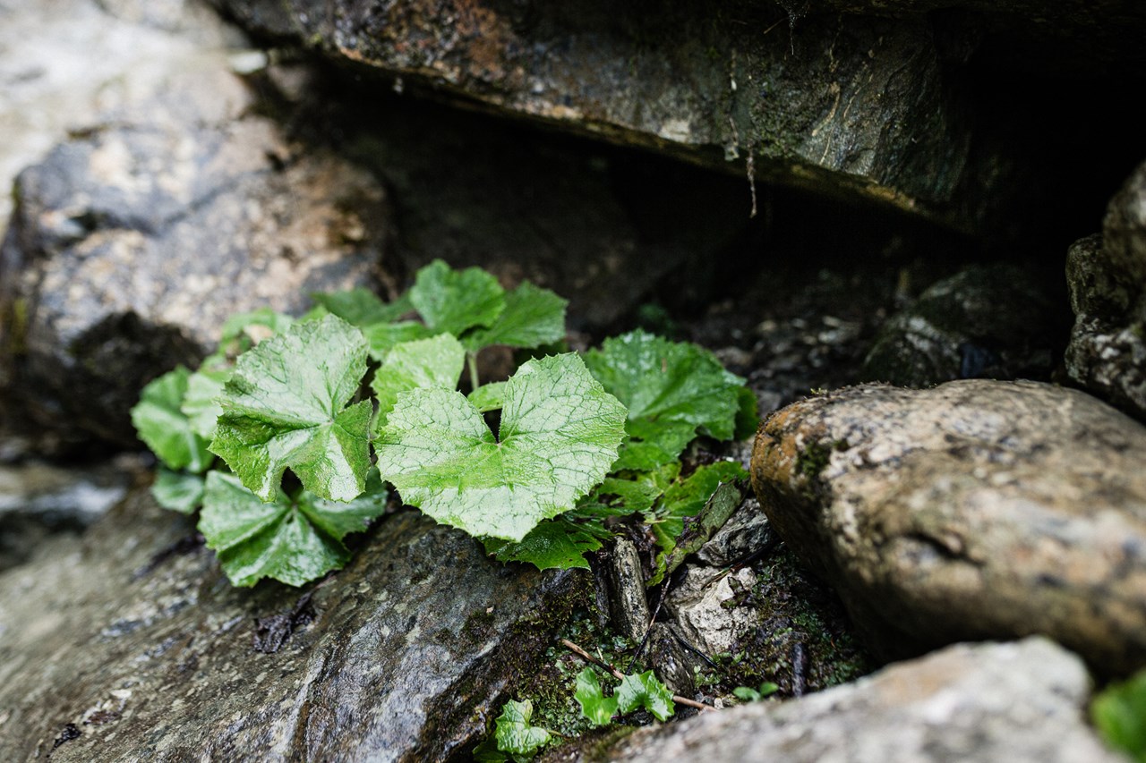 HUBERTUS Mountain Refugio - Balderschwang im Allgäu Angebote Mountain Spring Coaching