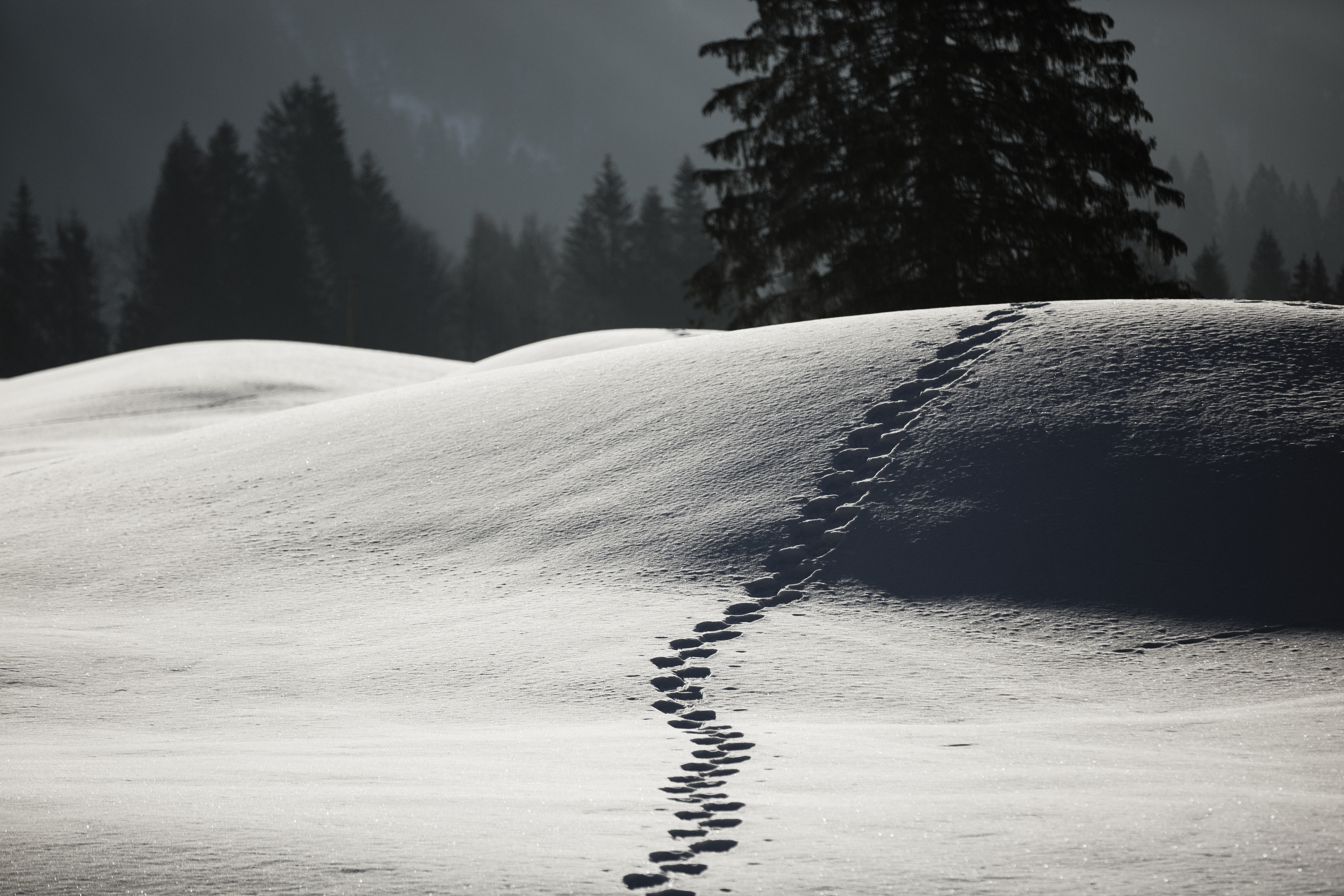Unterkunft im Allgäu: HUBERTUS Mountain Refugio - Balderschwang im Allgäu - HUBERTUS Mountain Refugio - Balderschwang im Allgäu