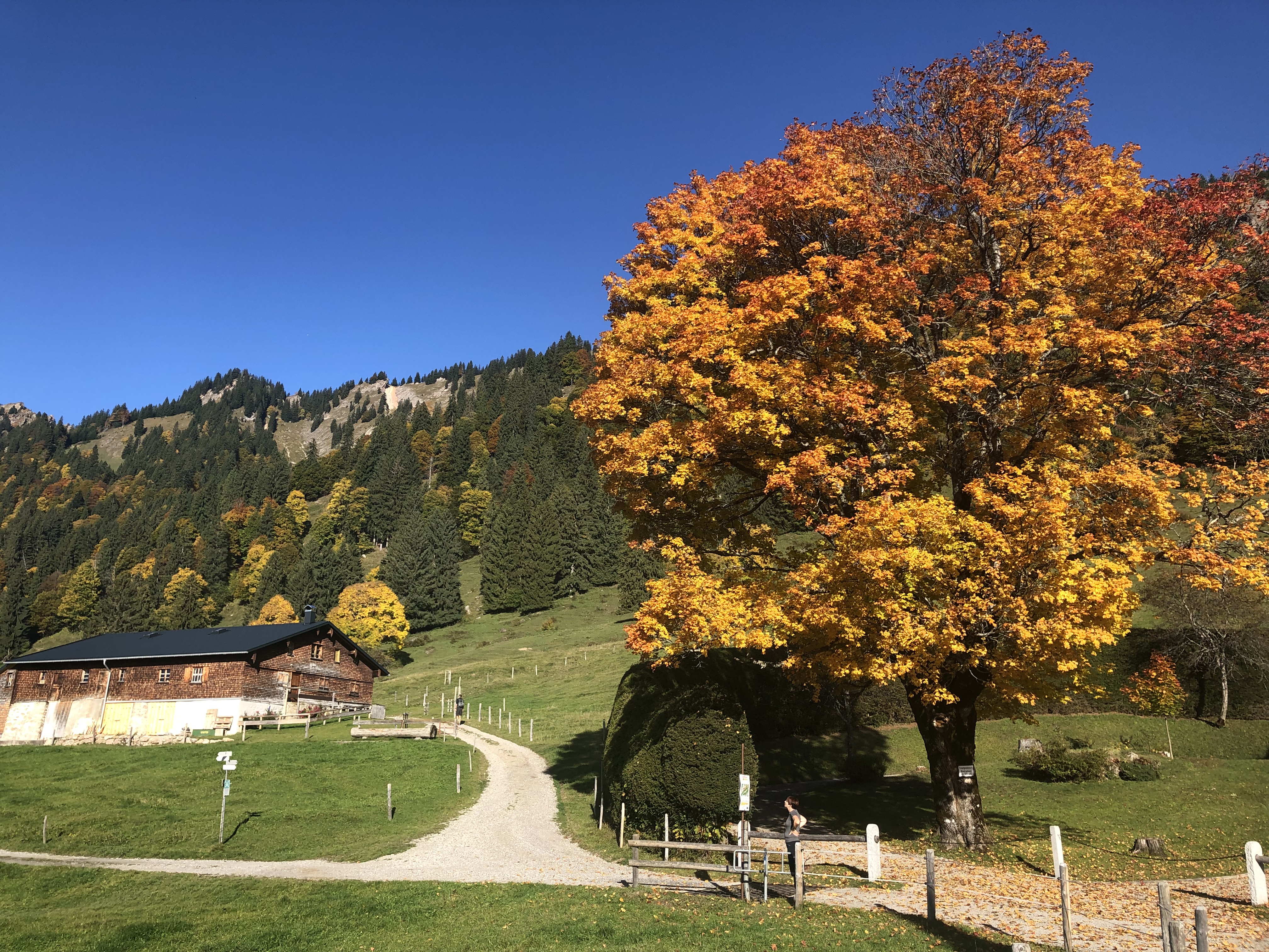 Unterkunft im Allgäu: Zum Schiff in Bihlerdorf - Gasthof & Restaurant im Allgäu - Zum Schiff in Bihlerdorf - Gasthof & Restaurant im Allgäu