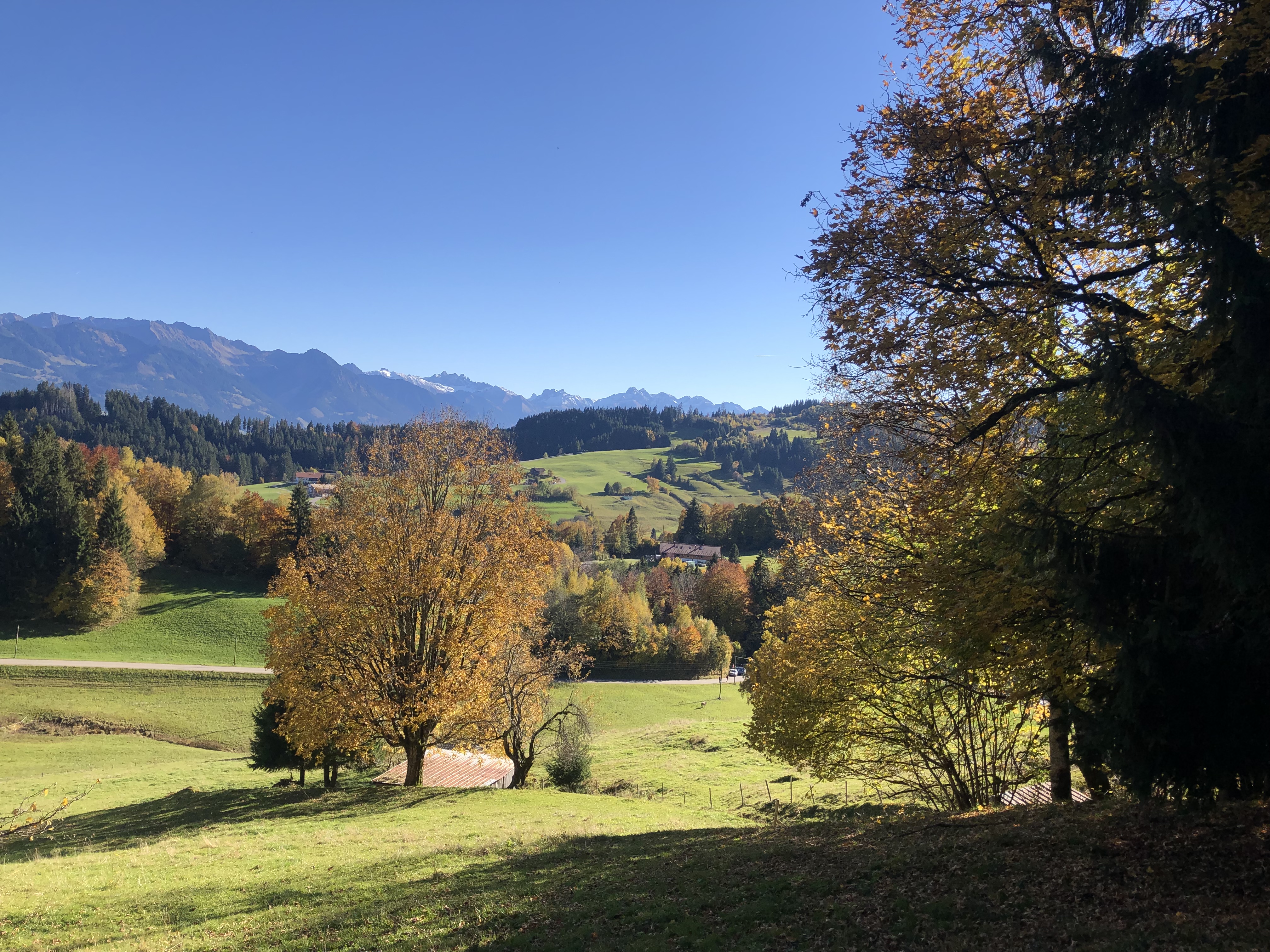 Unterkunft im Allgäu: Zum Schiff in Bihlerdorf - Gasthof & Restaurant im Allgäu - Zum Schiff in Bihlerdorf - Gasthof & Restaurant im Allgäu