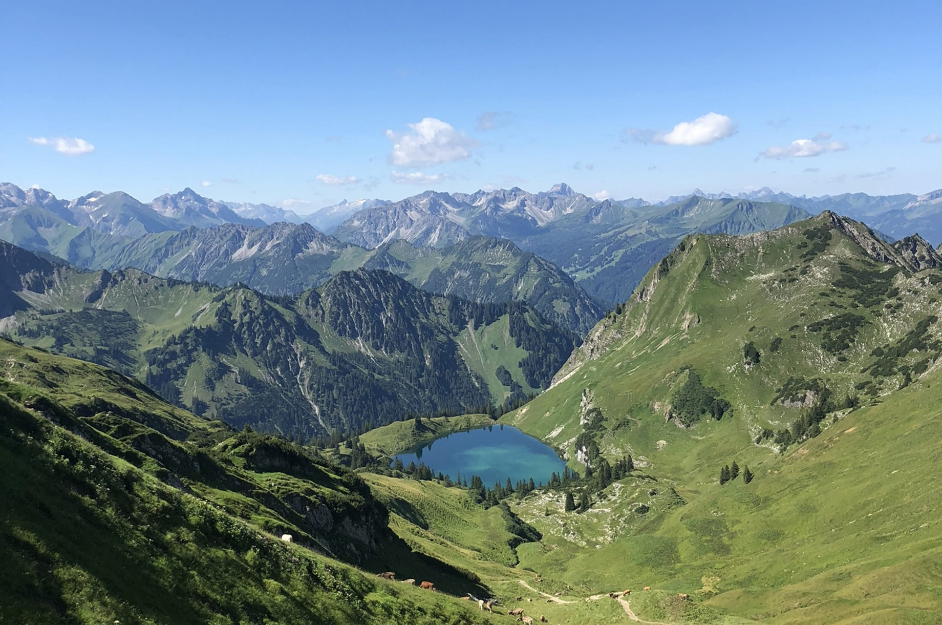 Restaurants im Oberallgäu: Berggasthof Seealpe auf 1.280 Metern am Nebelhorn - Berggasthof Seealpe auf 1.280 Metern über Oberstdorf