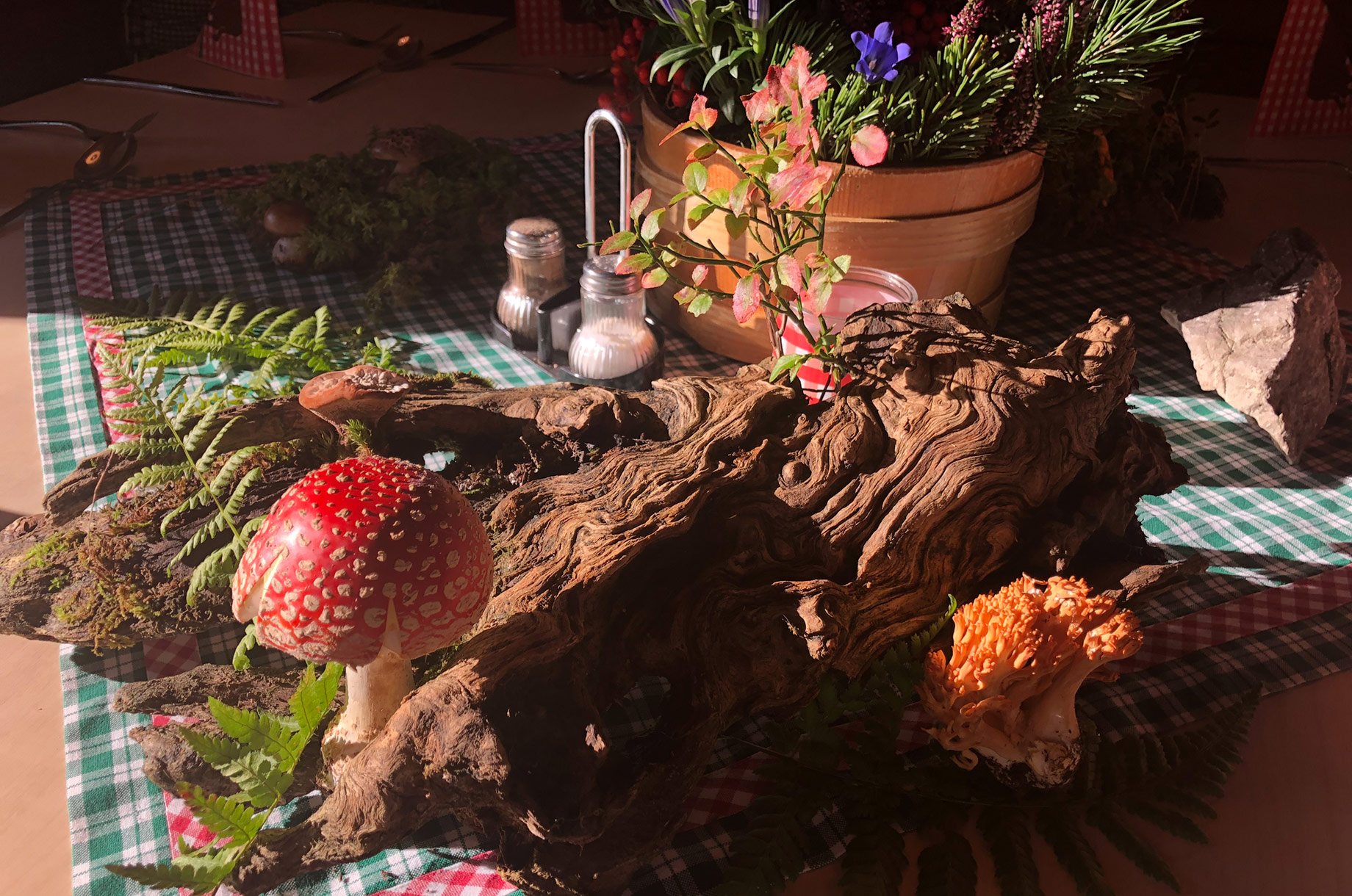 Restaurants im Oberallgäu: Berggasthof Seealpe auf 1.280 Metern über Oberstdorf - Berggasthof Seealpe auf 1.280 Metern über Oberstdorf