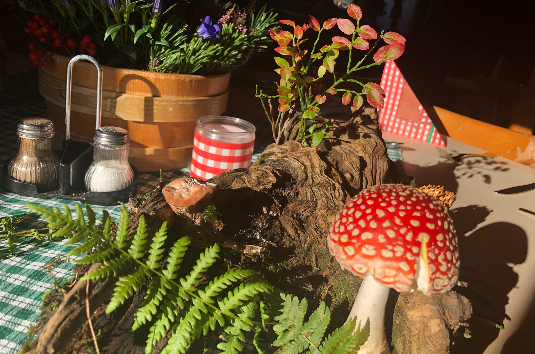 Restaurants im Oberallgäu: Berggasthof Seealpe auf 1.280 Metern über Oberstdorf - Berggasthof Seealpe auf 1.280 Metern über Oberstdorf