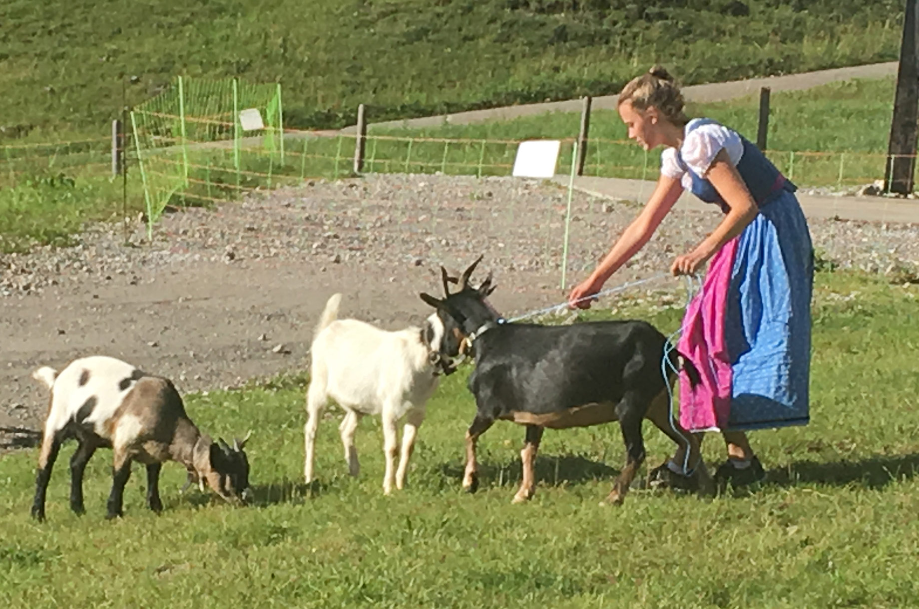 Restaurants im Oberallgäu: Berggasthof Seealpe auf 1.280 Metern am Nebelhorn - Berggasthof Seealpe auf 1.280 Metern über Oberstdorf