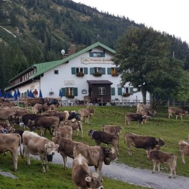 Restaurants im Oberallgäu: Berggasthof Seealpe auf 1.280 Metern über Oberstdorf - Berggasthof Seealpe auf 1.280 Metern über Oberstdorf