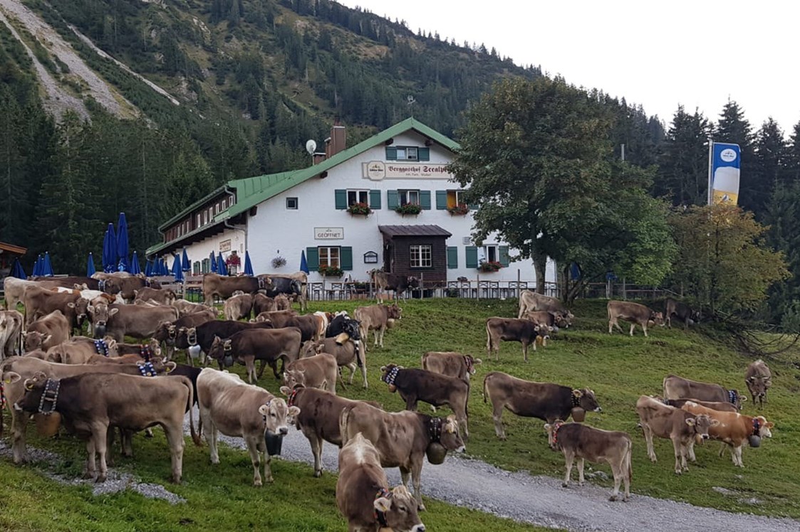 Restaurants im Oberallgäu: Berggasthof Seealpe auf 1.280 Metern über Oberstdorf - Berggasthof Seealpe auf 1.280 Metern über Oberstdorf