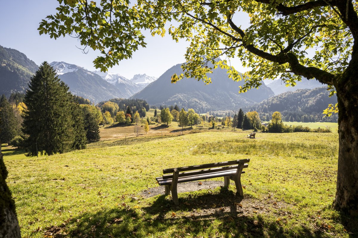 Unterkunft im Allgäu: Bergesgrün - Luxus-Ferienwohnungen in Oberstdorf im Allgäu - Bergesgrün - Luxus-Ferienwohnungen in Oberstdorf im Allgäu 