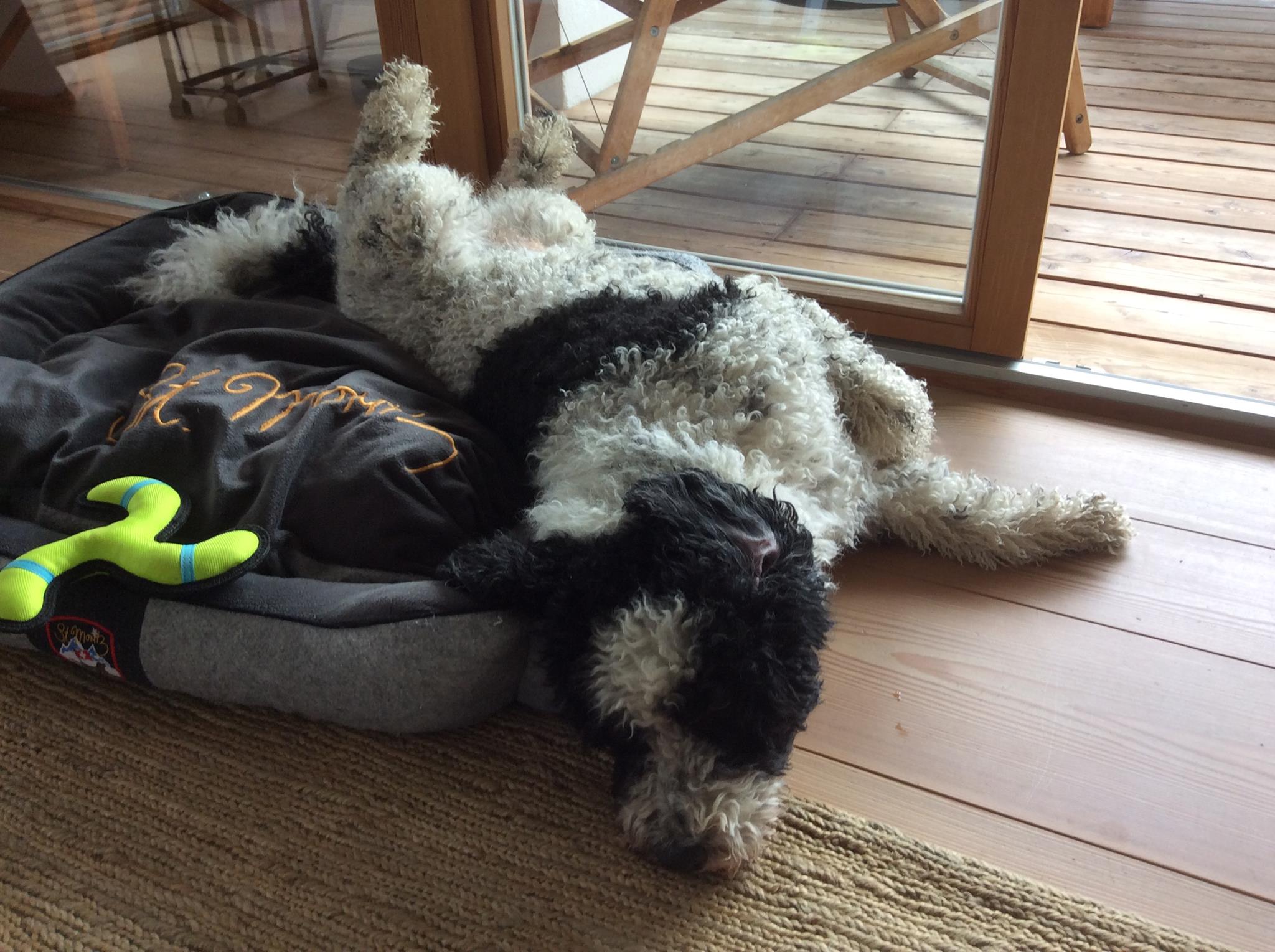 Unterkunft im Allgäu: Bergesgrün - Luxus-Ferienwohnungen in Oberstdorf im Allgäu - Bergesgrün - Luxus-Ferienwohnungen in Oberstdorf im Allgäu 