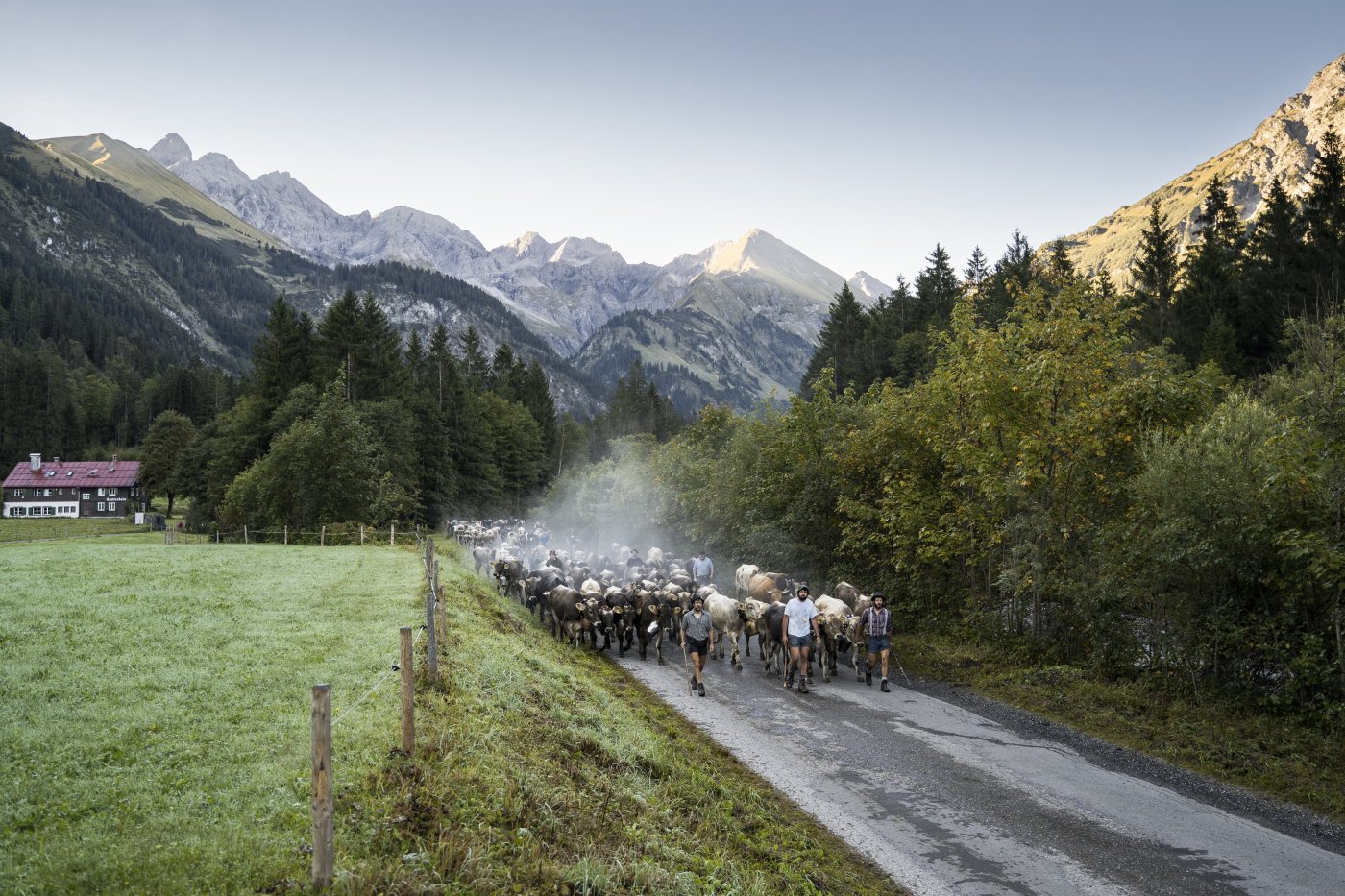 Unterkunft im Allgäu: Bergesgrün - Luxus-Ferienwohnungen in Oberstdorf im Allgäu - Bergesgrün - Luxus-Ferienwohnungen in Oberstdorf im Allgäu 