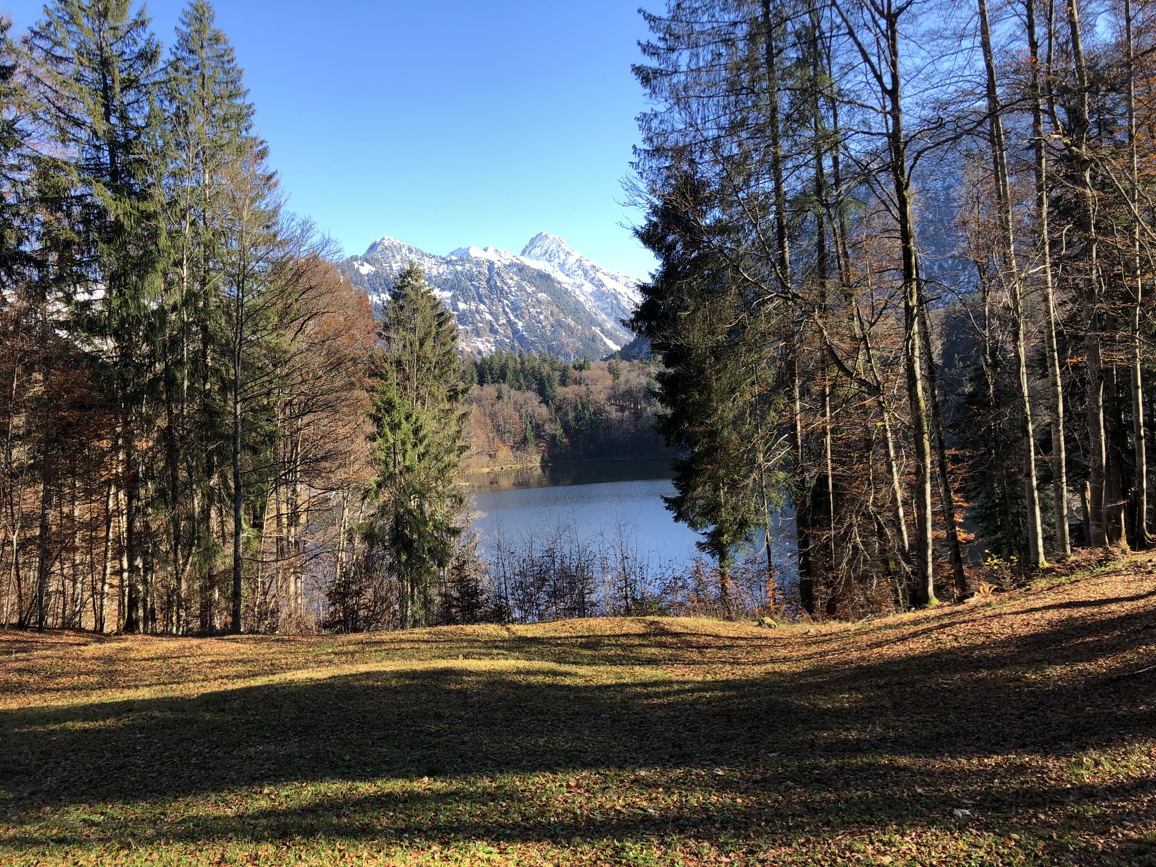 Erlebnisse im Oberallgäu: Naturfreibad Freibergsee bei Oberstdorf - Naturfreibad Freibergsee mit Bootsverleih bei Oberstdorf