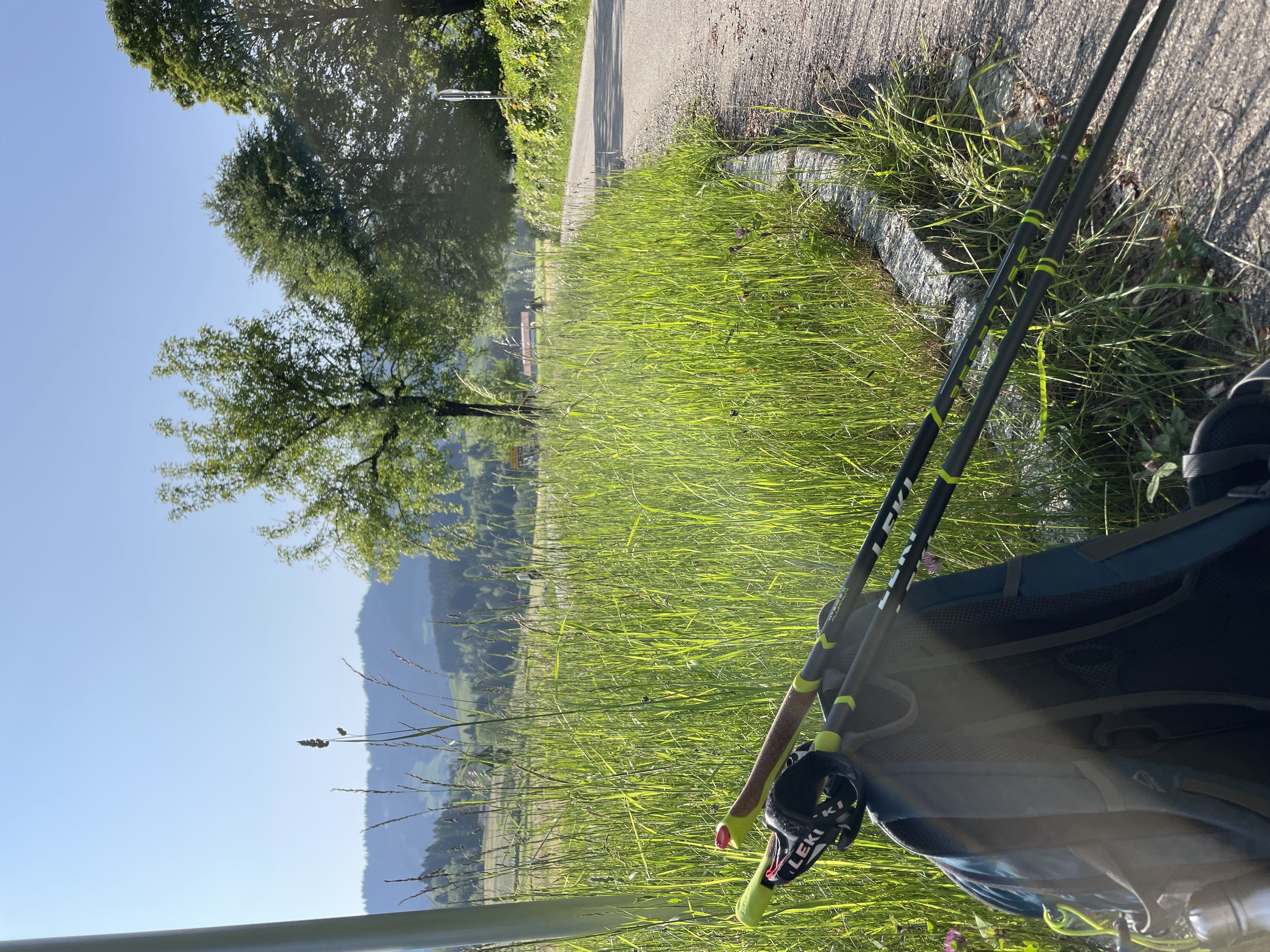 Erlebnisse im Oberallgäu: Dein Wanderguide - geführte Wanderungen im Allgäu. - Dein Wanderguide - geführte Wanderungen im Allgäu