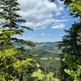 Erlebnisse im Oberallgäu: Dein Wanderguide - geführte Wanderungen im Allgäu - Dein Wanderguide - geführte Wanderungen im Allgäu