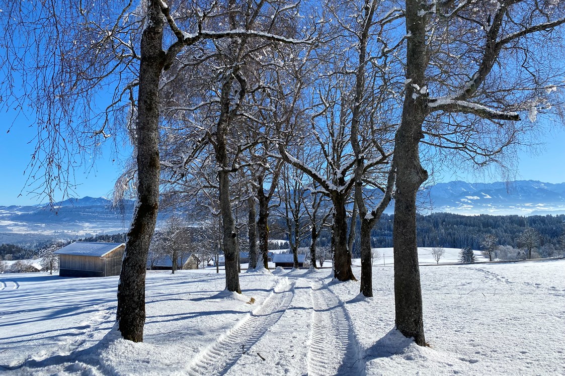 Erlebnisse im Oberallgäu: Dein Wanderguide - geführte Wanderungen im Allgäu, Winterwanderung - Dein Wanderguide - geführte Wanderungen im Allgäu