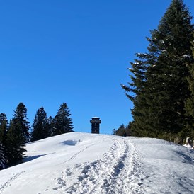 Erlebnisse im Oberallgäu: Dein Wanderguide - geführte Wanderungen im Allgäu, Winterwanderung - Dein Wanderguide - geführte Wanderungen im Allgäu