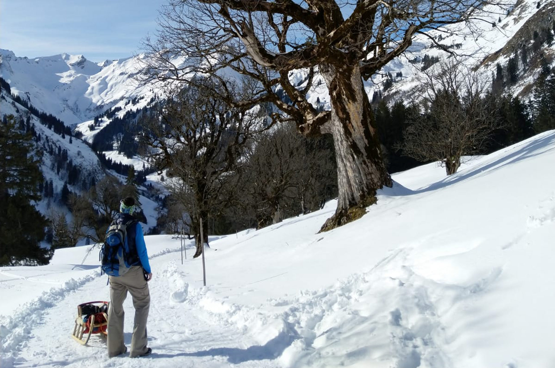 Restaurants im Oberallgäu: Schwarzenberghütte im Naturschutzgebiet Hintersteiner Tal - Schwarzenberghütte - Einkehrziel im Hintersteiner Tal