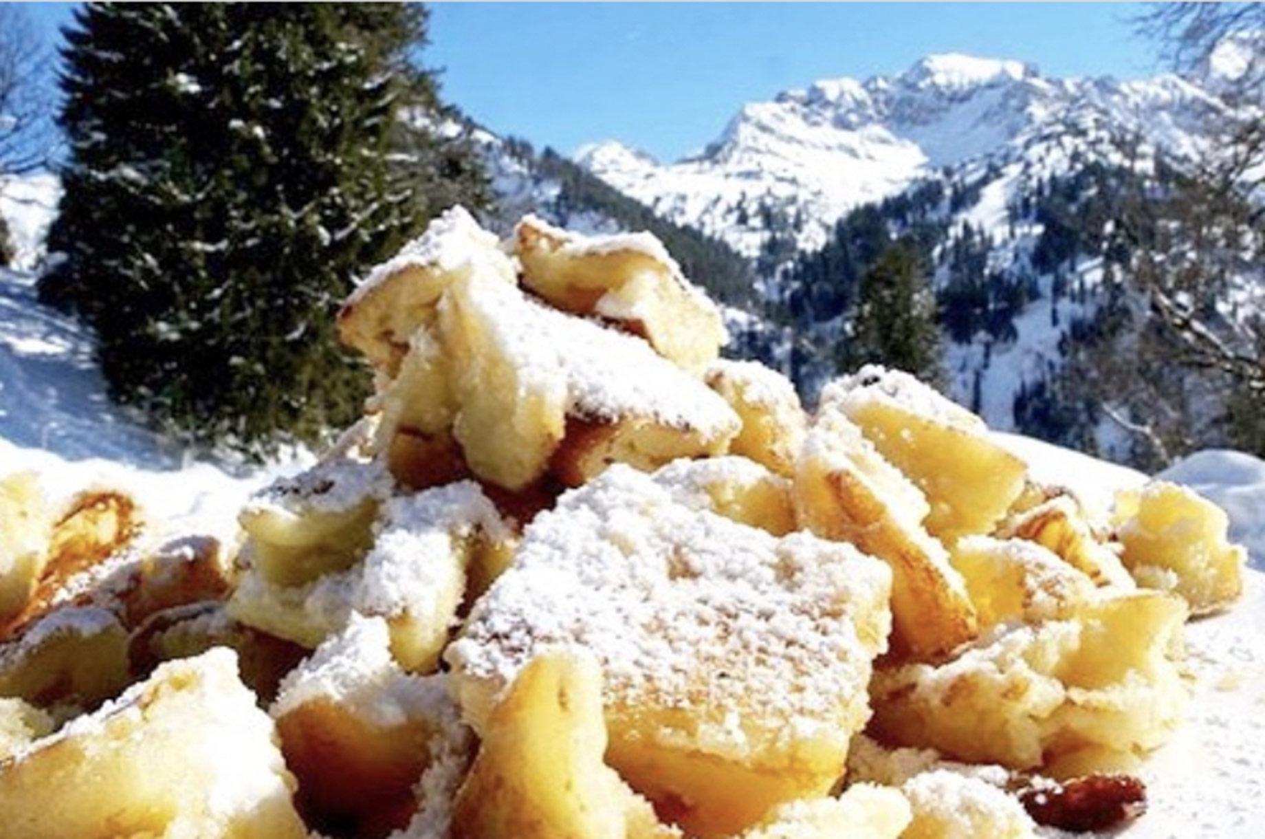 Hotels und Ferienwohnungen im Oberallgäu - Betriebsart | Angebot: Einkehrstation - Oberallgäu - Schwarzenberghütte im Naturschutzgebiet Hintersteiner Tal - Schwarzenberghütte - Einkehrziel im Hintersteiner Tal