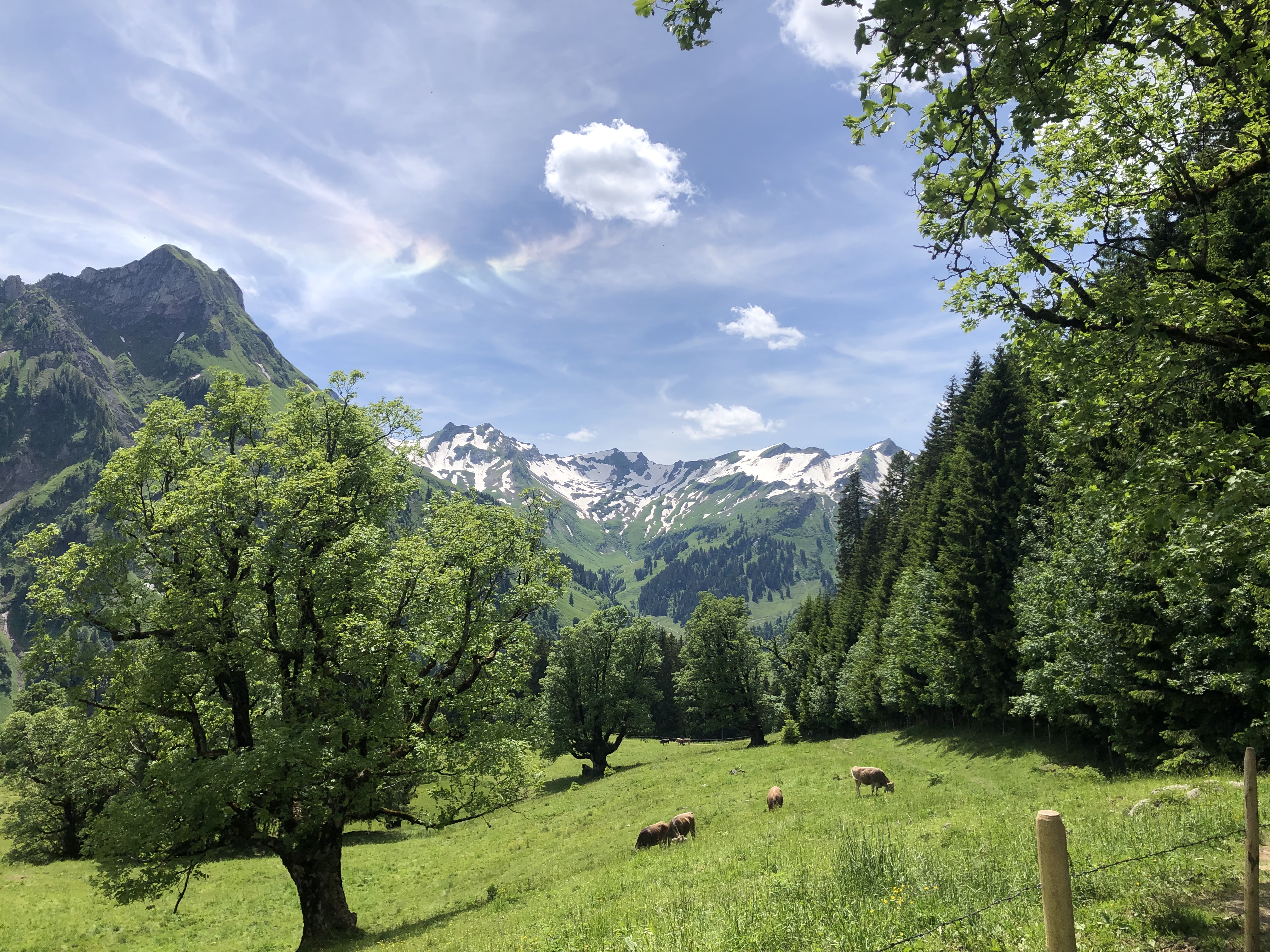 Restaurants im Oberallgäu: Schwarzenberghütte - Einkehrziel im Hintersteiner Tal - Schwarzenberghütte - Einkehrziel im Hintersteiner Tal