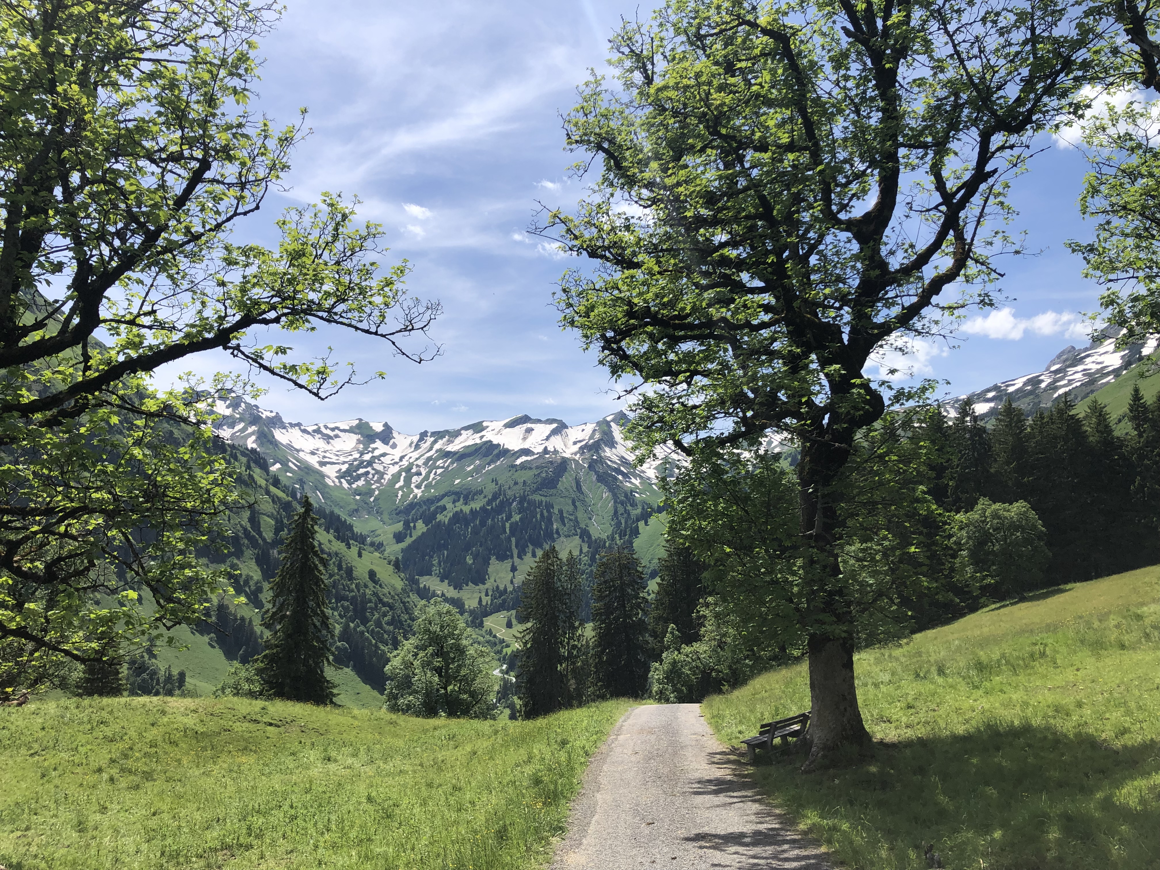 Restaurants im Oberallgäu: Schwarzenberghütte - Einkehrziel im Hintersteiner Tal - Schwarzenberghütte - Einkehrziel im Hintersteiner Tal