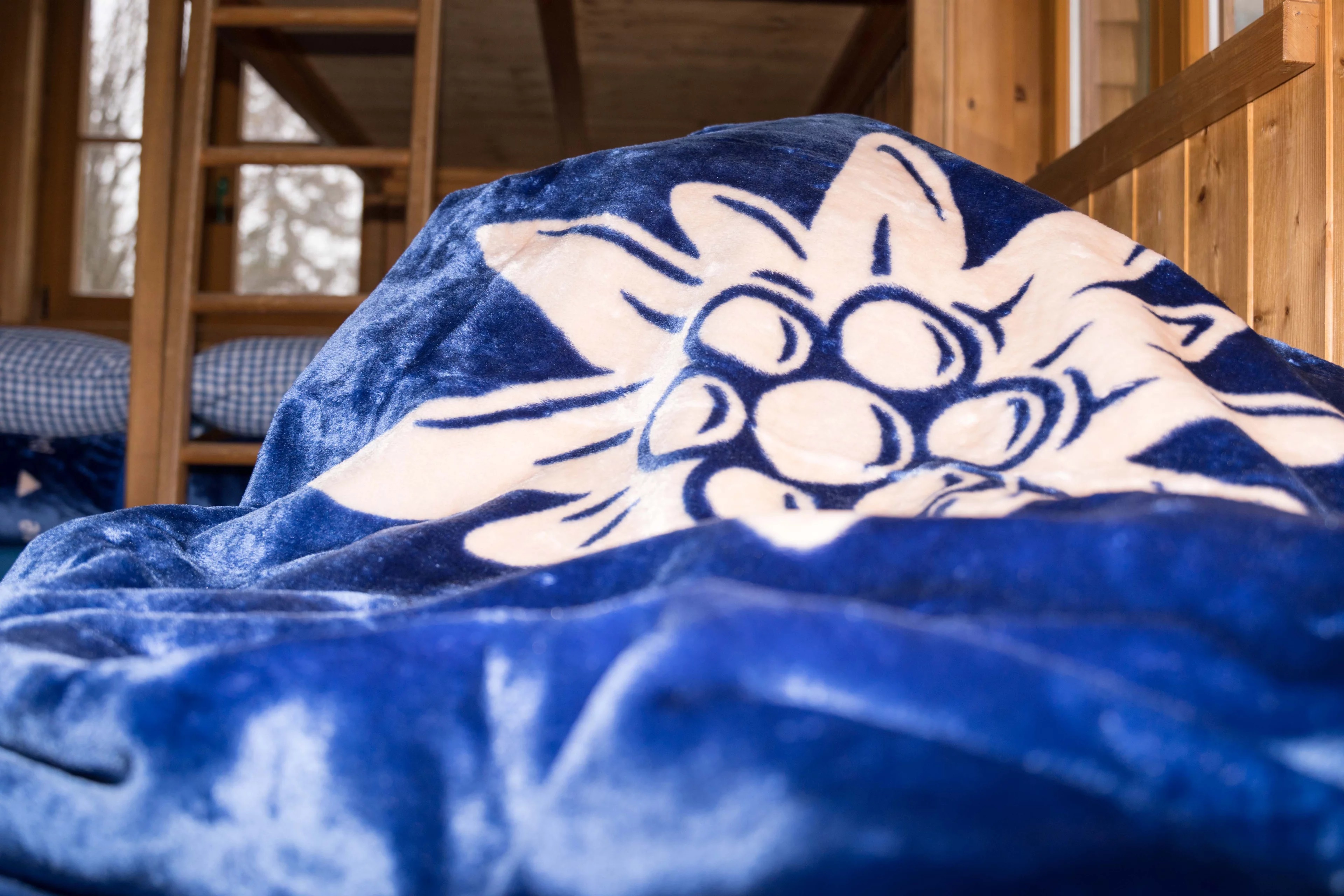 Unterkunft im Allgäu: Schwarzenberghütte - Hüttenromantik im Hintersteiner Tal - Schwarzenberghütte - Hüttenromantik im Hintersteiner Tal