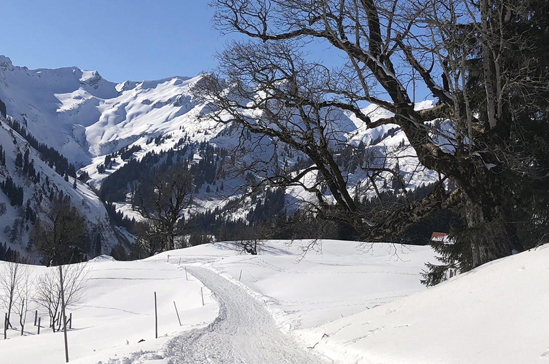 Unterkunft im Allgäu: Schwarzenberghütte - Hüttenromantik im Hintersteiner Tal - Schwarzenberghütte - Hüttenromantik im Hintersteiner Tal