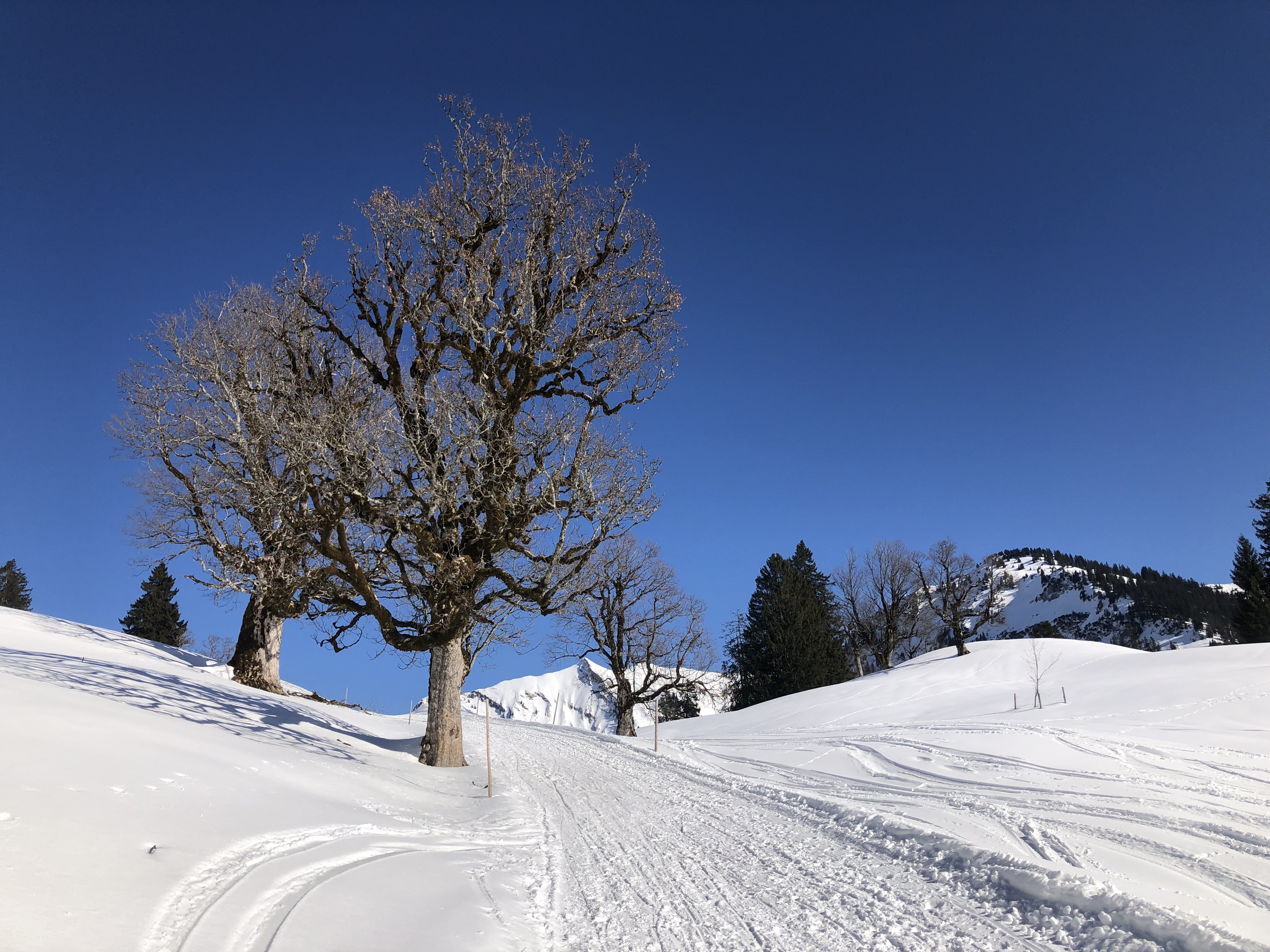 Unterkunft im Allgäu: Schwarzenberghütte - Hüttenromantik im Hintersteiner Tal - Schwarzenberghütte - Hüttenromantik im Hintersteiner Tal