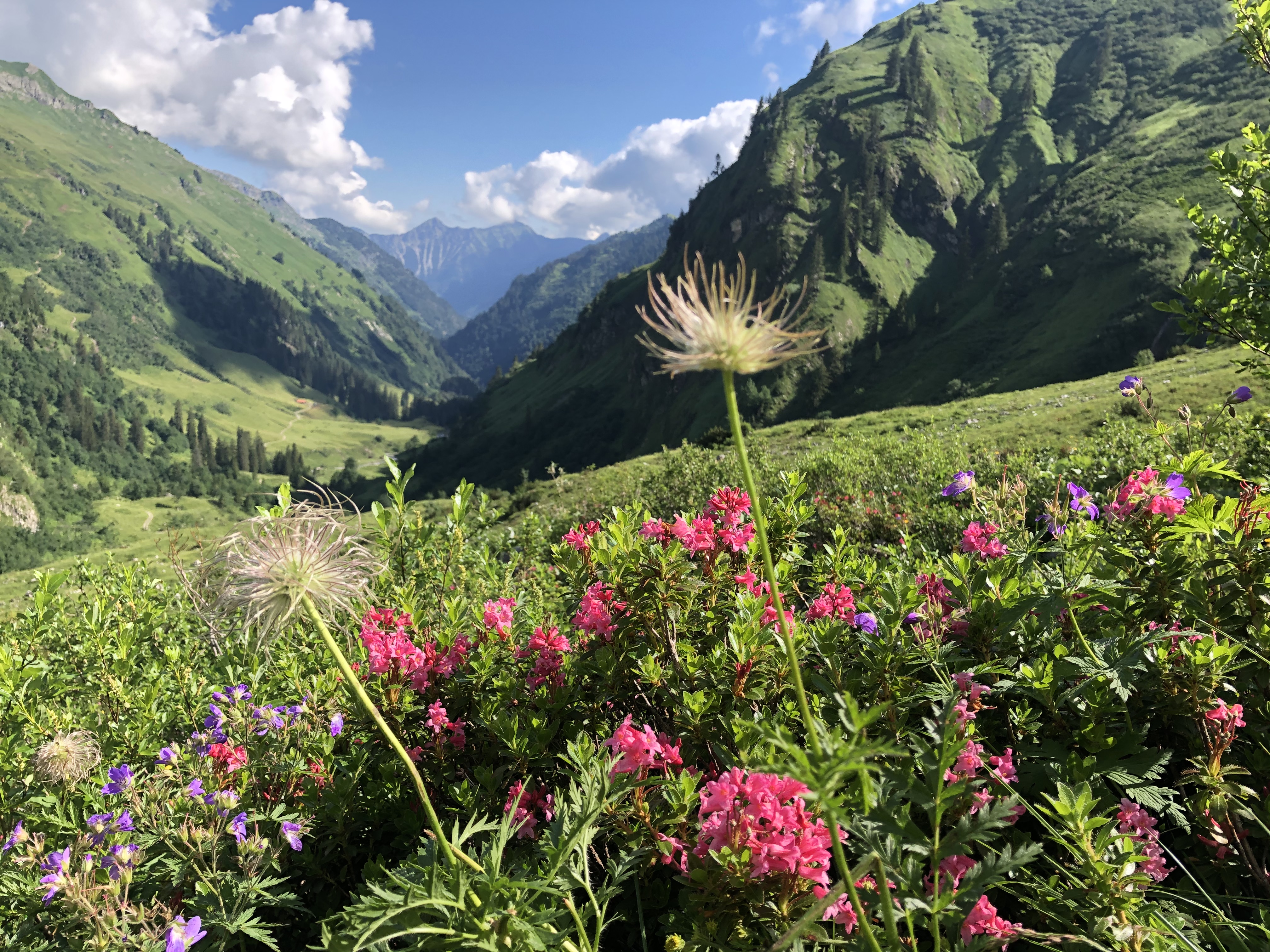 Unterkunft im Allgäu: Schwarzenberghütte - Hüttenromantik im Hintersteiner Tal - Schwarzenberghütte - Hüttenromantik im Hintersteiner Tal