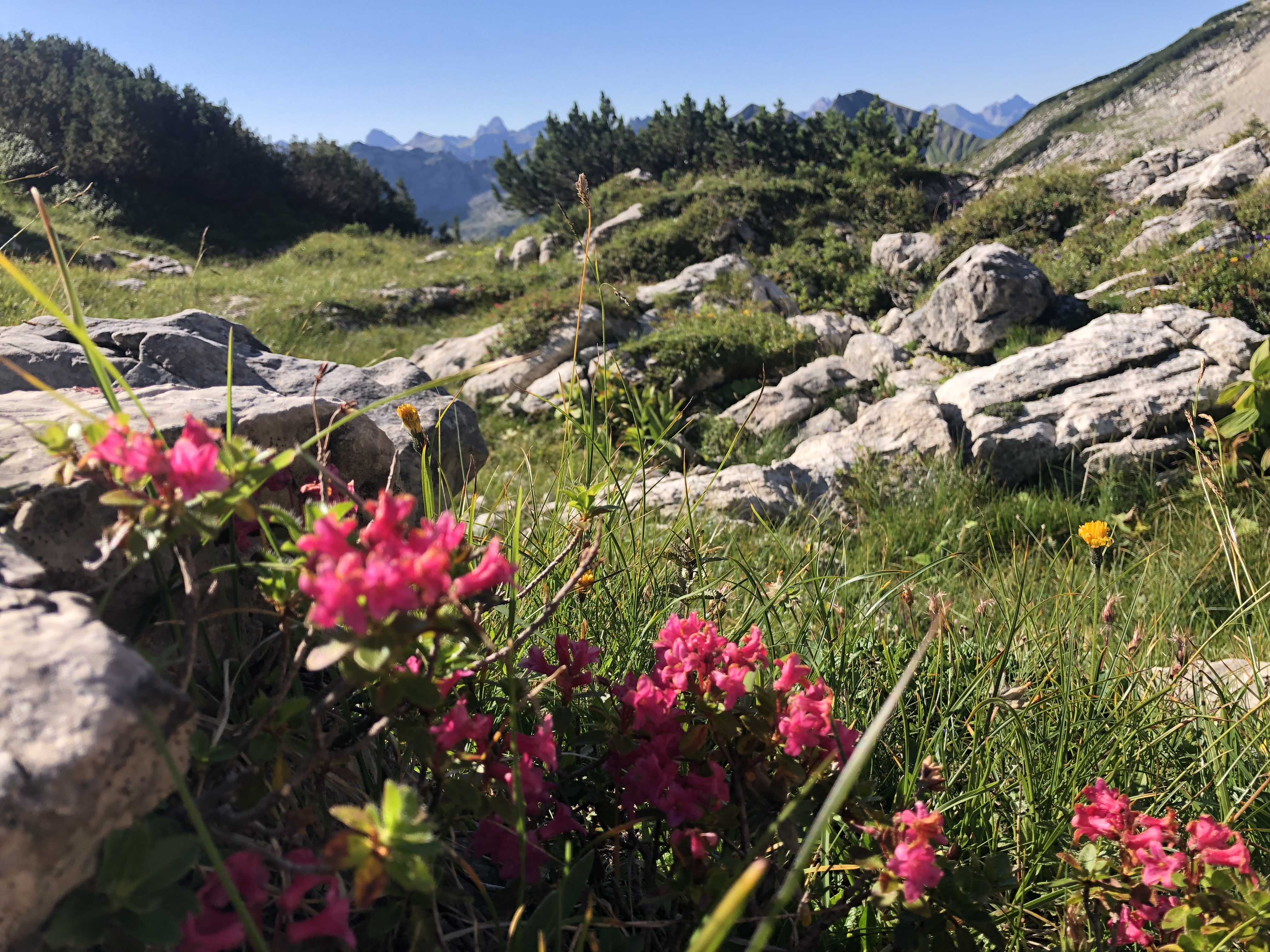 Unterkunft im Allgäu: Schwarzenberghütte - Hüttenromantik im Hintersteiner Tal - Schwarzenberghütte - Hüttenromantik im Hintersteiner Tal