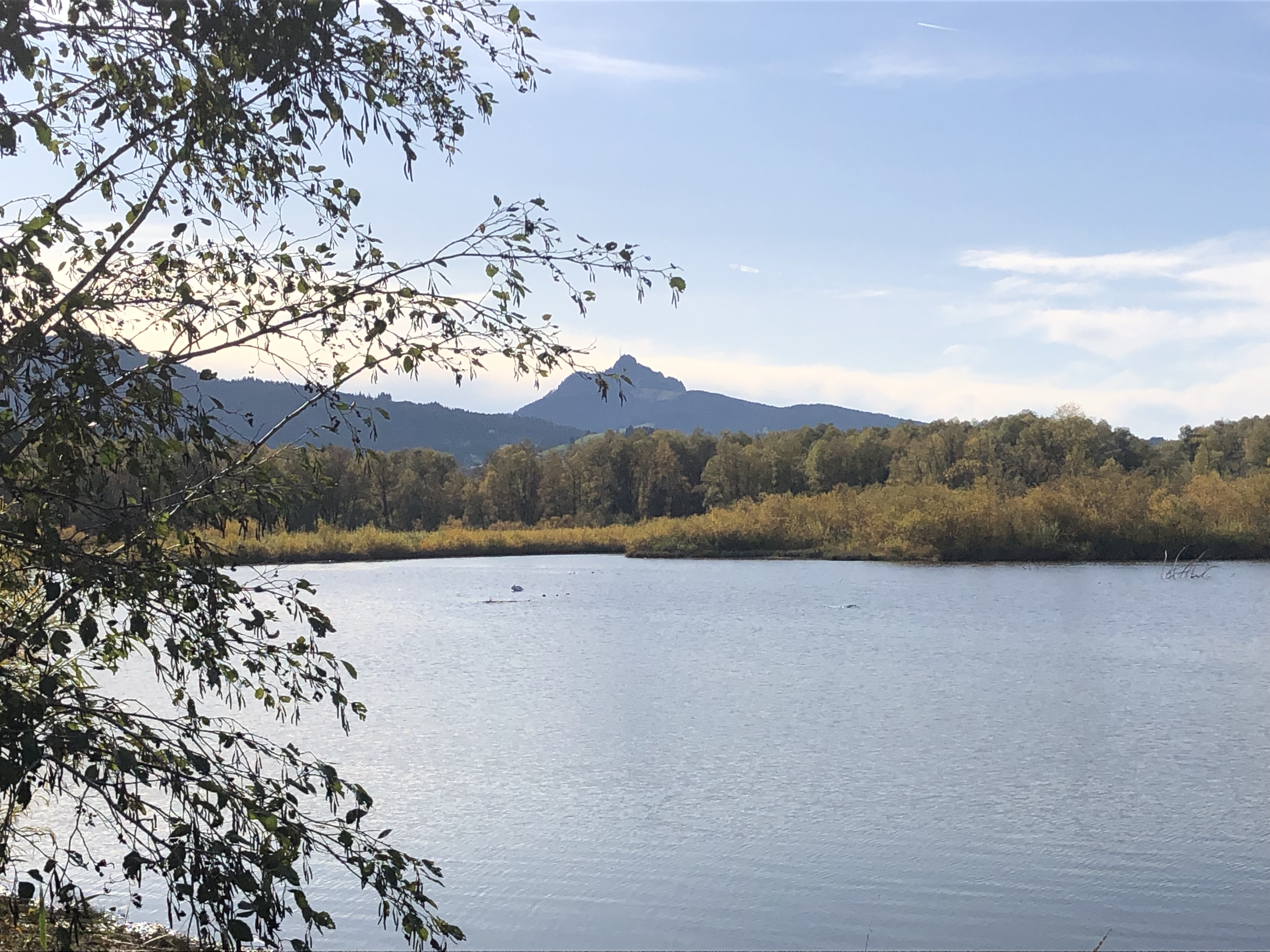 Hotels und Ferienwohnungen im Oberallgäu - Wertach - Grüntensee
