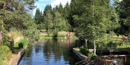 Hotels und Ferienwohnungen im Oberallgäu - Saison: Sommer - Naturbad in Bad Hindelang - Oberjoch im Allgäu - Natur - Hochmoorbad Oberjoch - Bad Hindelang im Allgäu