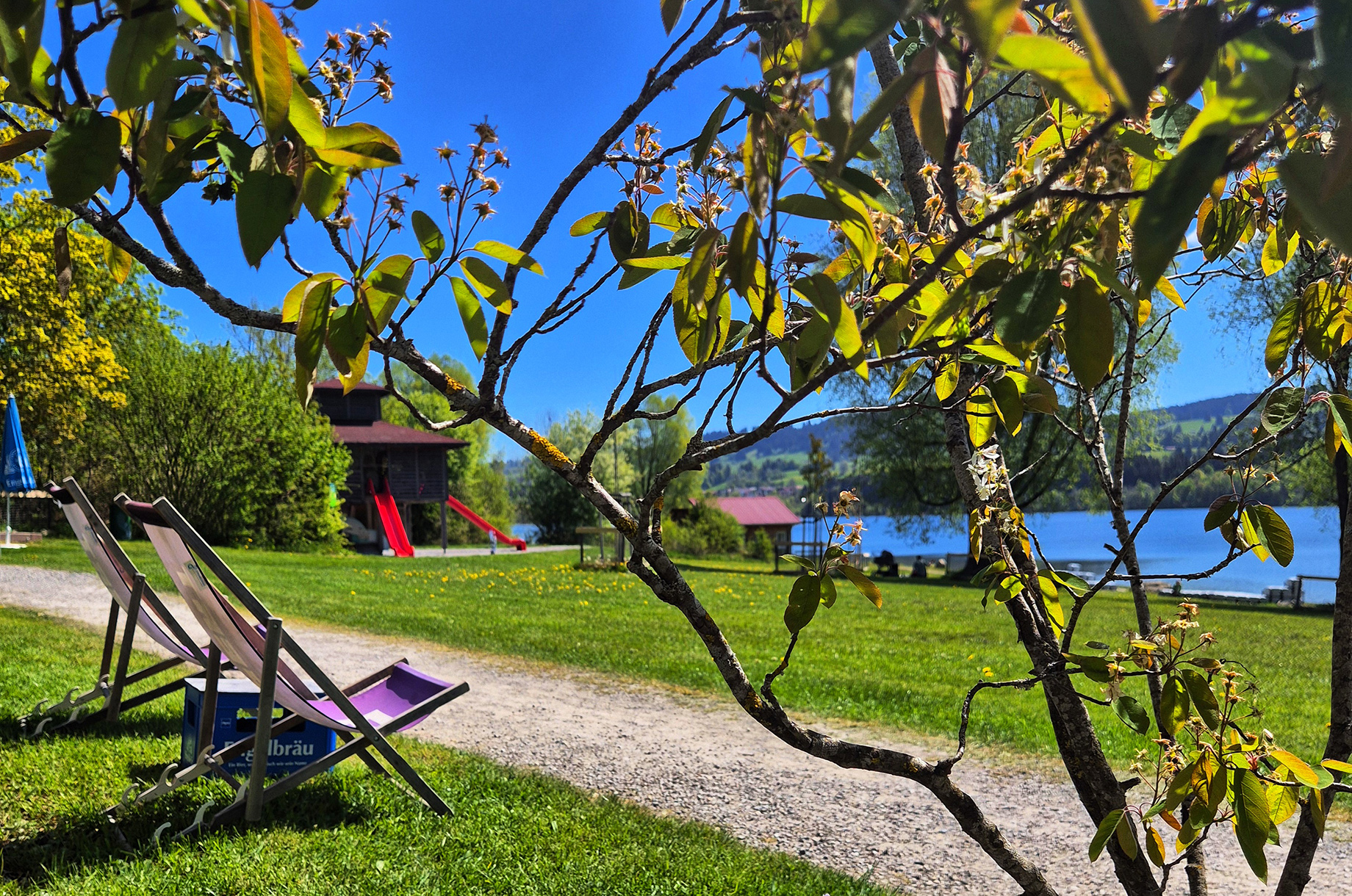 Erlebnisse im Oberallgäu: Rottachsee - Badesee und Ausflugsziel im Allgäu - Rottachsee - Badesee und Ausflugsziel im Allgäu 