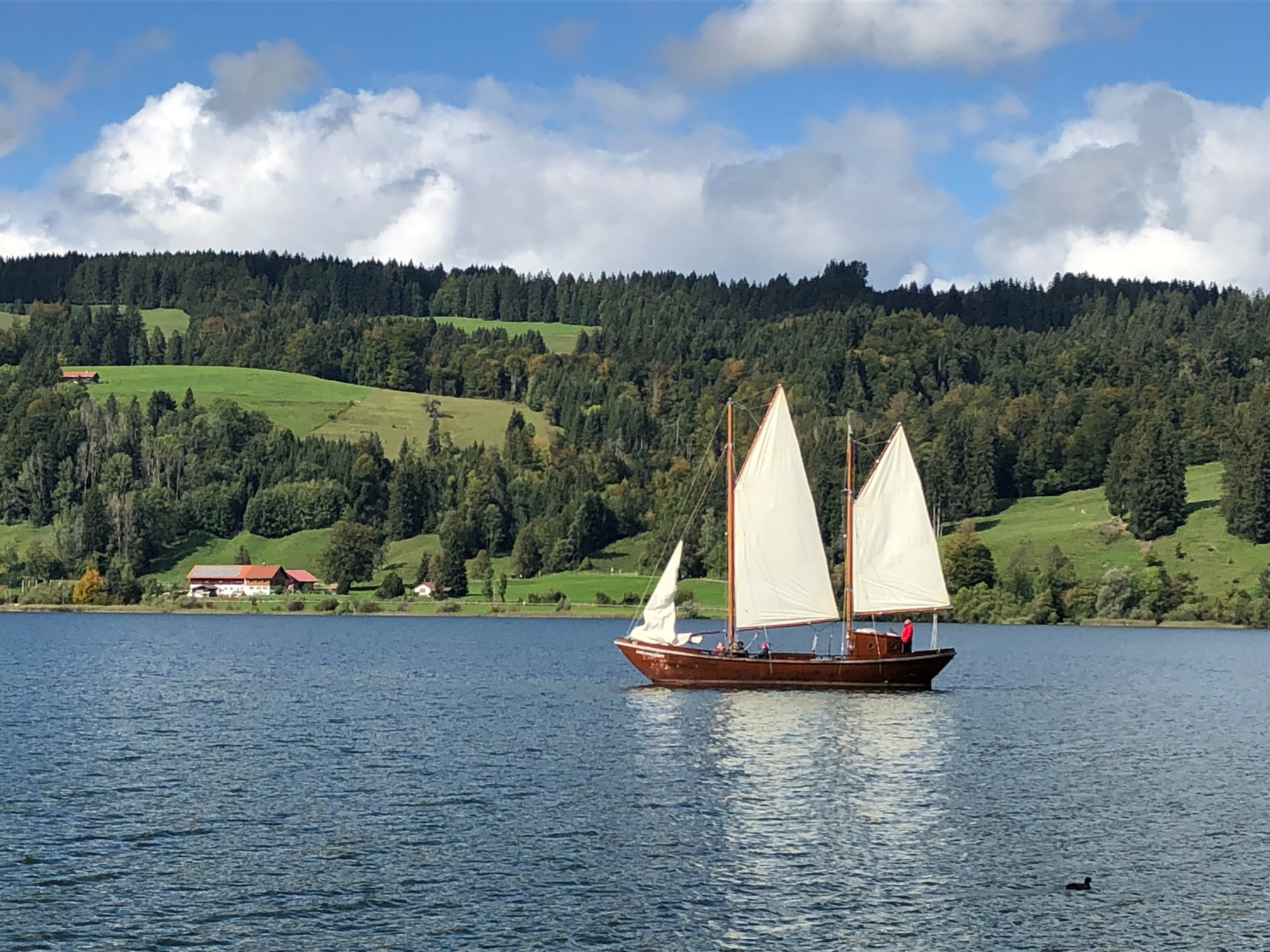 Hotels und Ferienwohnungen im Oberallgäu - Freizeitspaß am Alpsee bei Immenstadt