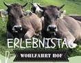 Veranstaltungen im Oberallgäu: Erlebnistag auf dem Wohlfahrthof in Rettenberg - Erlebnistag auf dem Wohlfahrthof in Rettenberg
