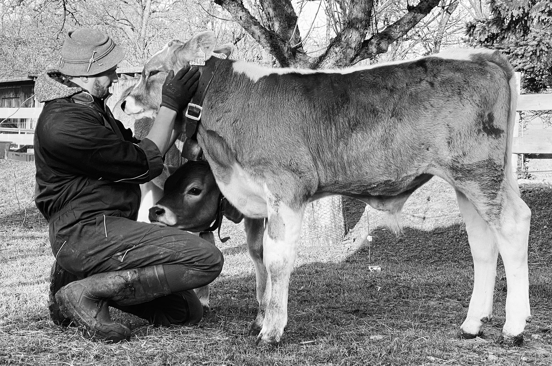 Veranstaltungen im Oberallgäu: Erlebnistag auf dem Wohlfahrthof in Rettenberg - Erlebnistag auf dem Wohlfahrthof in Rettenberg