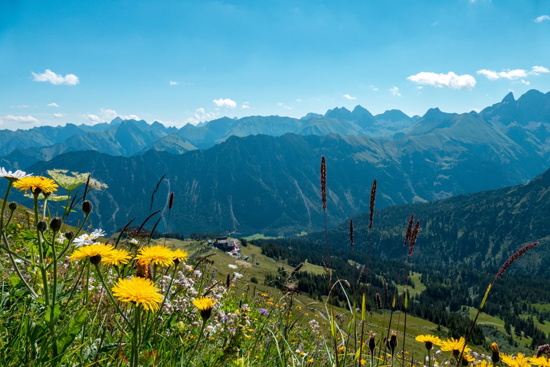 Erlebnisse im Oberallgäu: Bergbahnen im Oberallgäu - die Fellhornbahn - Fellhornbahn in Oberstdorf - Allgäu im Sommer