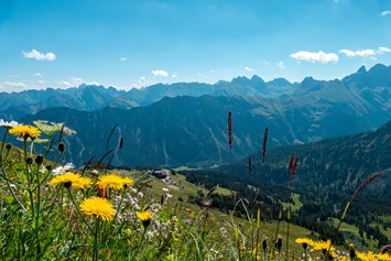 Erlebnisse im Oberallgäu: Bergbahnen im Oberallgäu - die Fellhornbahn - Fellhornbahn in Oberstdorf - Allgäu im Sommer