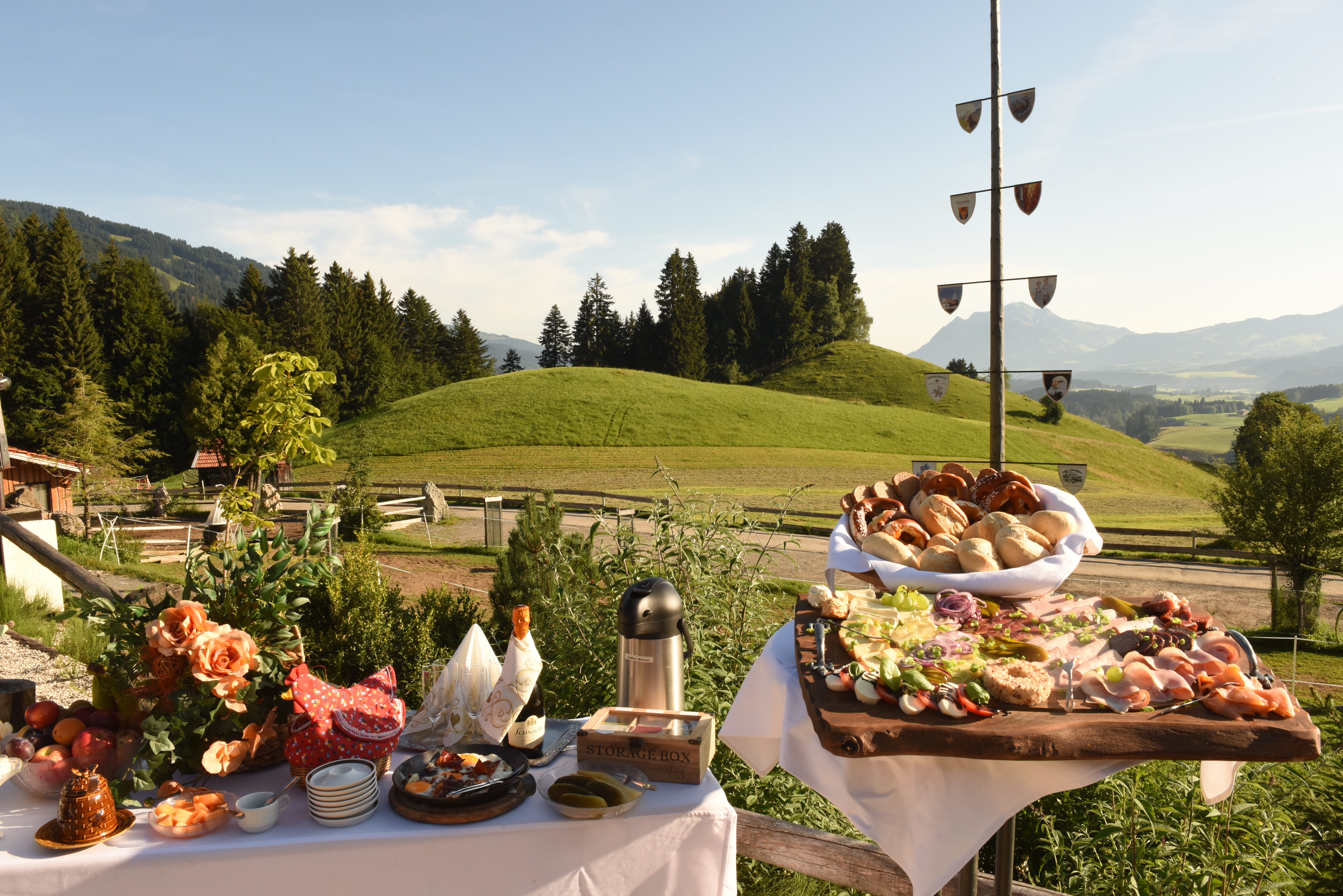 Hotels und Ferienwohnungen im Oberallgäu - Berghof Schwarzenberg im Alpenwildpark Obermaiselstein - Berghof Schwarzenberg am Alpenwildpark Obermaiselstein