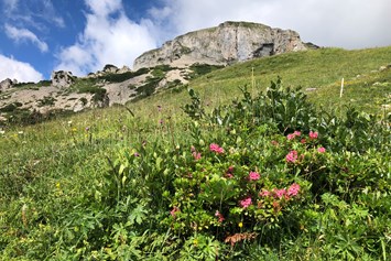 Erlebnisse im Oberallgäu: Ifen Bergbahnen im Kleinwalsertal / Allgäu - Ifen - Wanderparadies im Kleinwalsertal