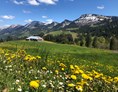 Erlebnisse: Wanderparadies an der Imbergbahn mit Blick auf den Hochgrat - Die Imbergbahn - das Wanderparadies über Steibis
