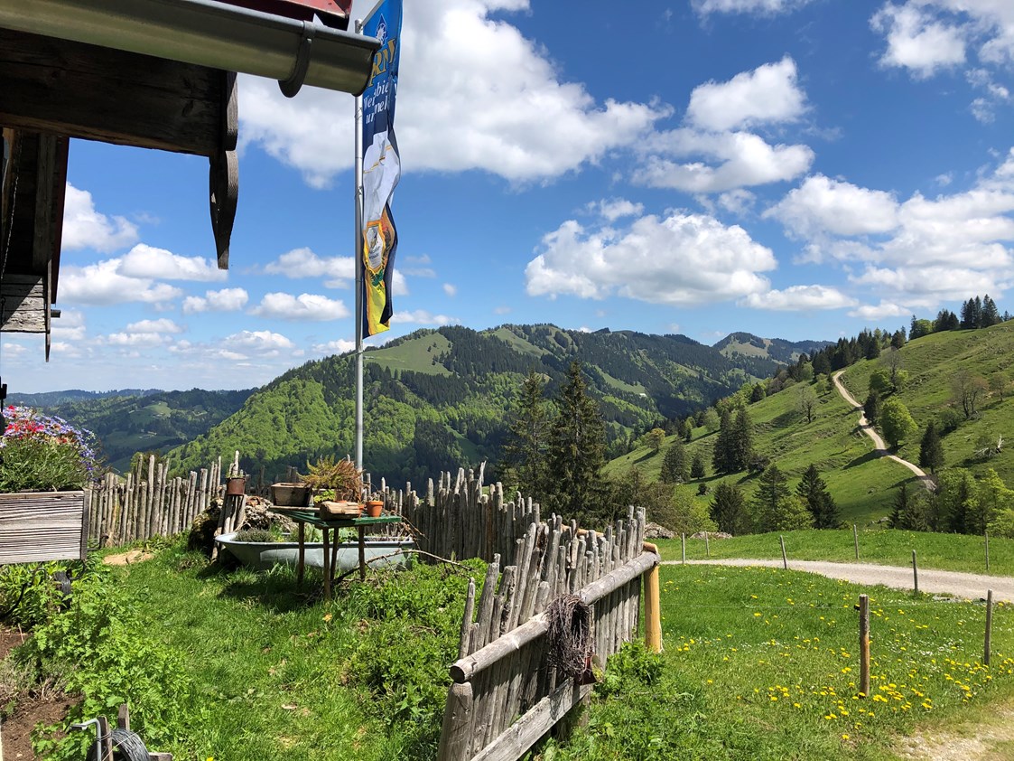 Erlebnisse: Wanderparadies zwischen Imbergbahn und Hochgrat über Oberstaufen - Steibis  - Die Imbergbahn - das Wanderparadies über Steibis