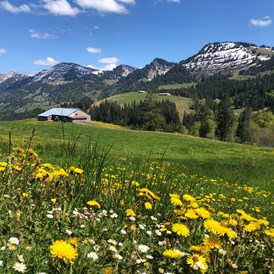 Erlebnisse im Oberallgäu: Die Imbergbahn über Oberstaufen - Steibis im Oberallgäu - Die Imbergbahn - das Wanderparadies über Steibis im Allgäu