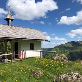 Erlebnisse im Oberallgäu: Wanderparadies über Oberstaufen - Steibis  - Die Imbergbahn - das Wanderparadies über Steibis im Allgäu