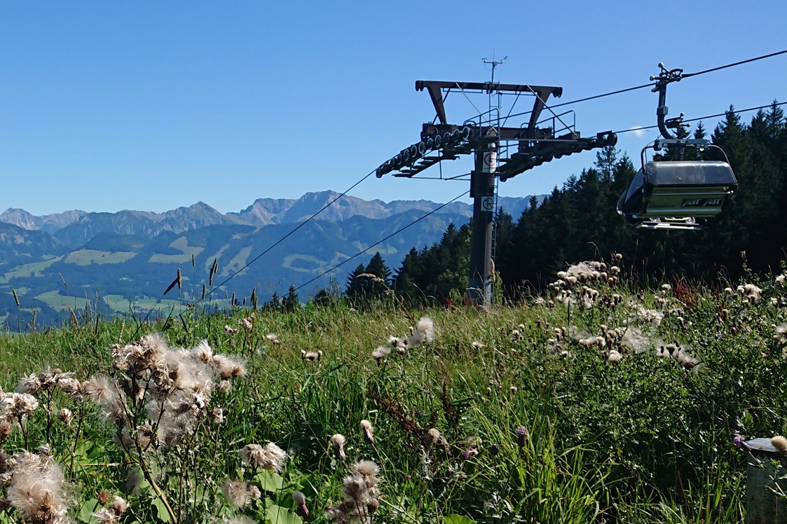 Erlebnisse im Oberallgäu: Wandergebiet GO-Ofterschwang - Gunzesried - Weltcup-Express Ofterschwang im Sommer