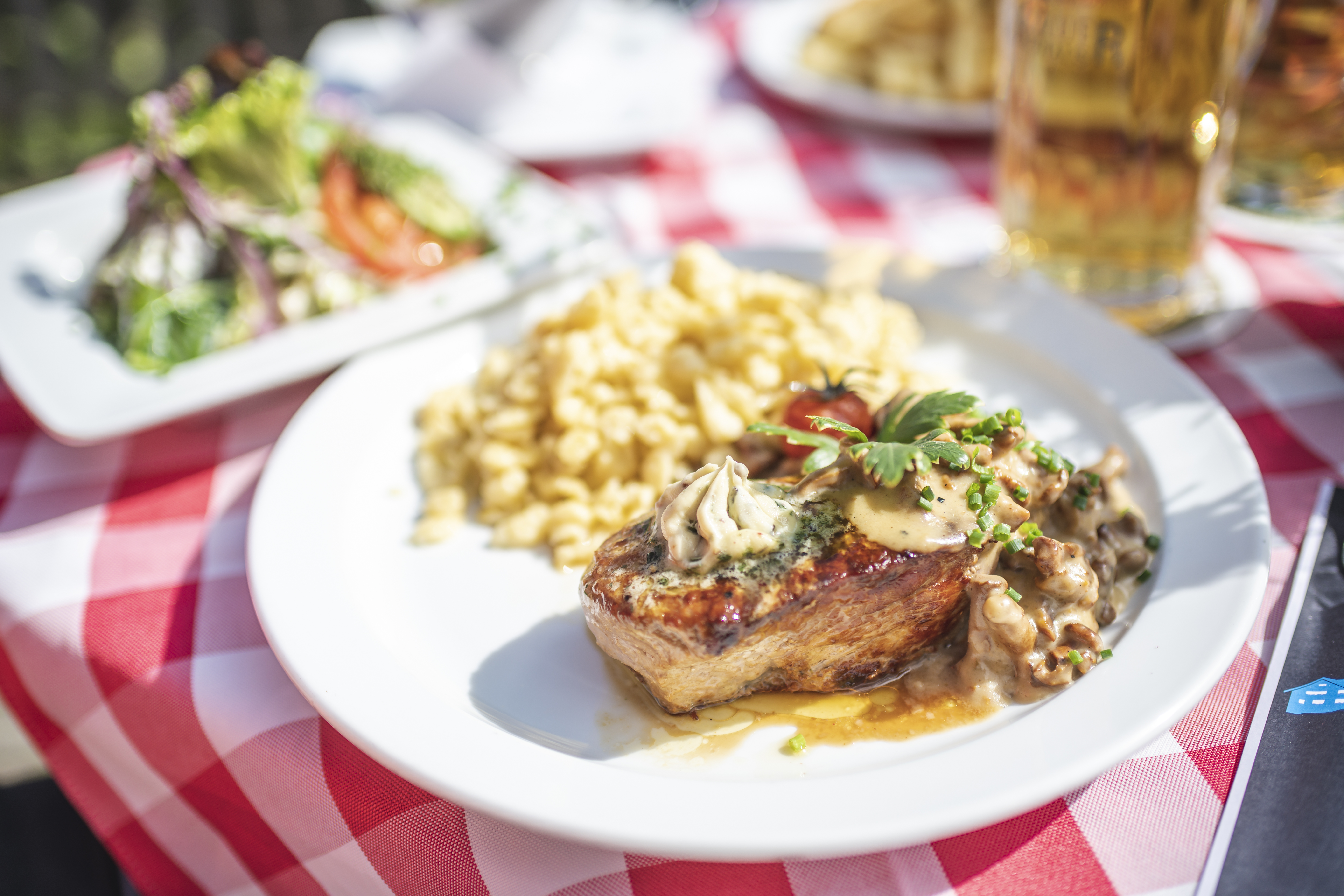 Hotels und Ferienwohnungen im Oberallgäu - Parken & Anreise: Anreise mit ÖPNV möglich - Söllereckbahn - Bergbahnen in Oberstdorf im Oberallgäu  - Die Söllereckbahn bei Oberstdorf im Sommer 