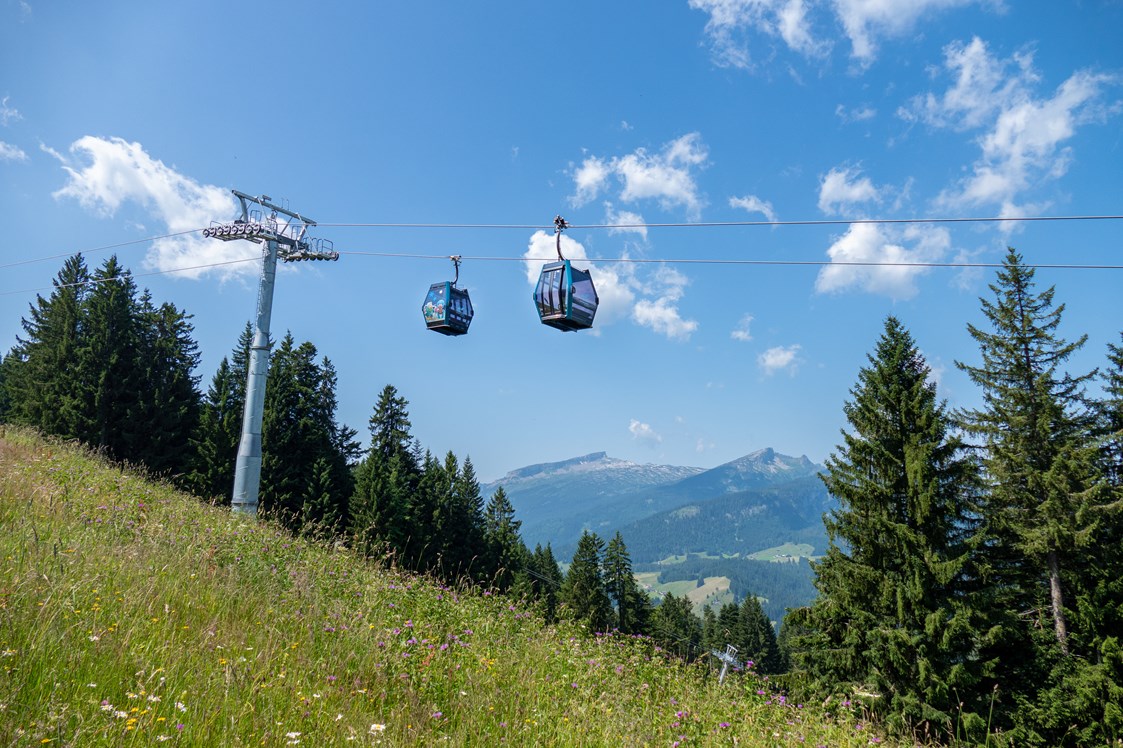 Erlebnisse im Oberallgäu: Söllereckbahn - Bergbahnen in Oberstdorf / Oberallgäu  - Die Söllereckbahn im Sommer 